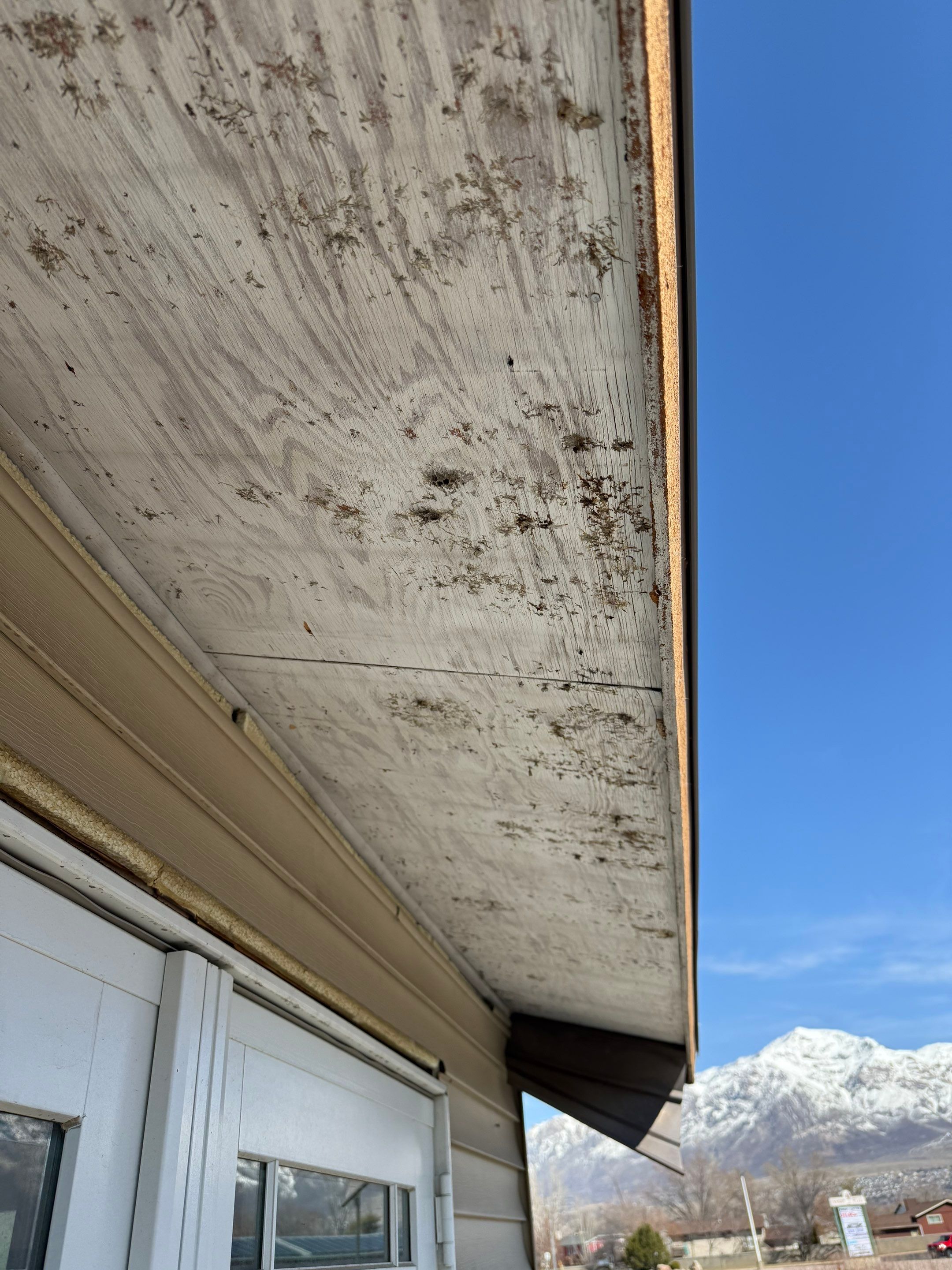 Roofing in Ogden, UT by Go Pro Roofing