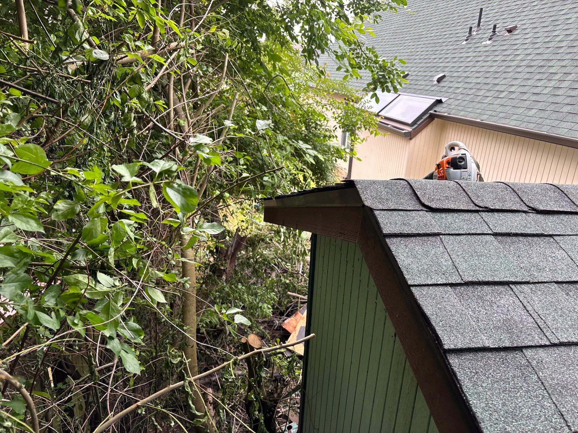 Shed Roof Replacement in Aloha by Prodigy Roof Solutions