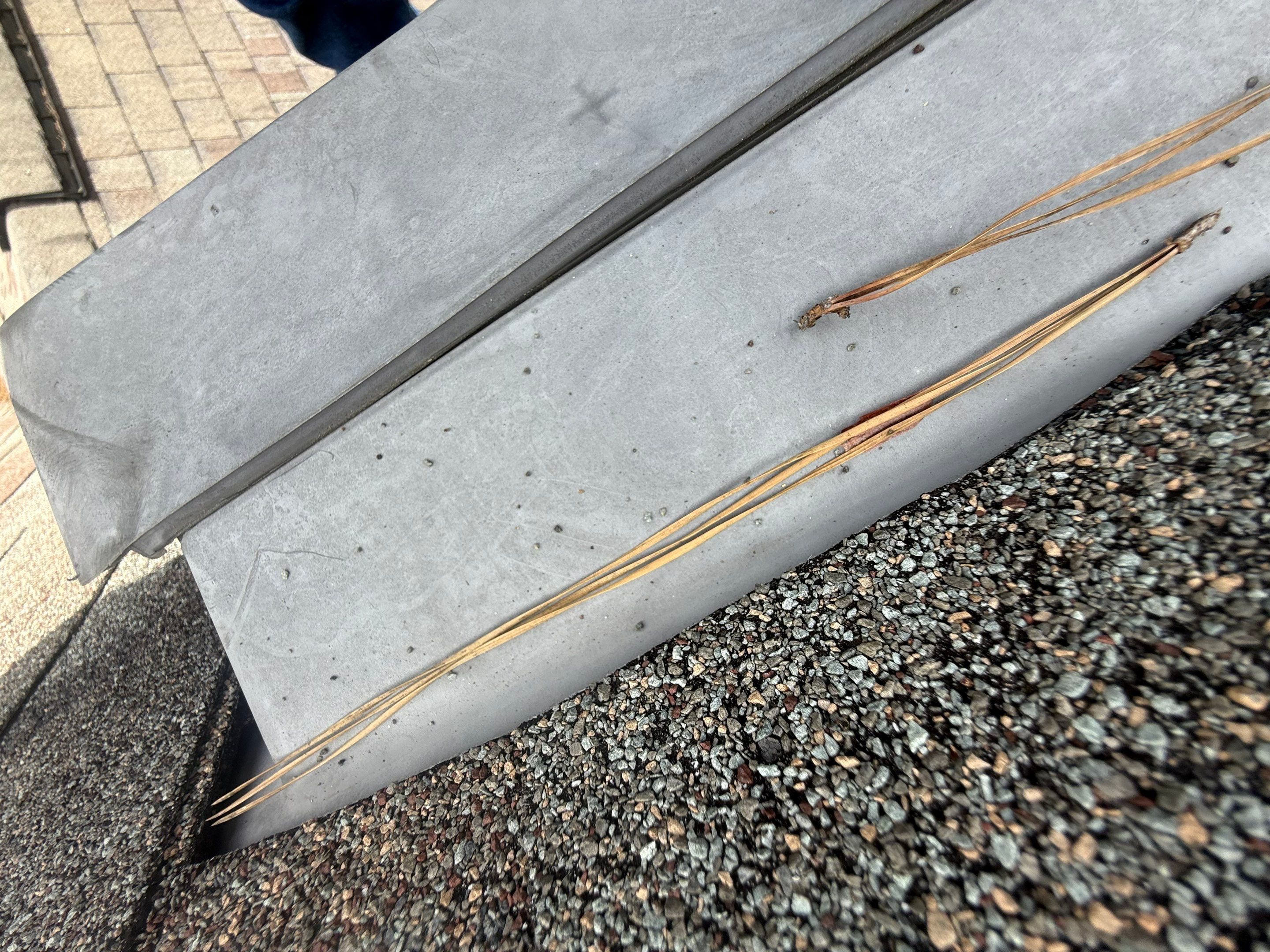 Roof Repair Spring by Roof Repair Company