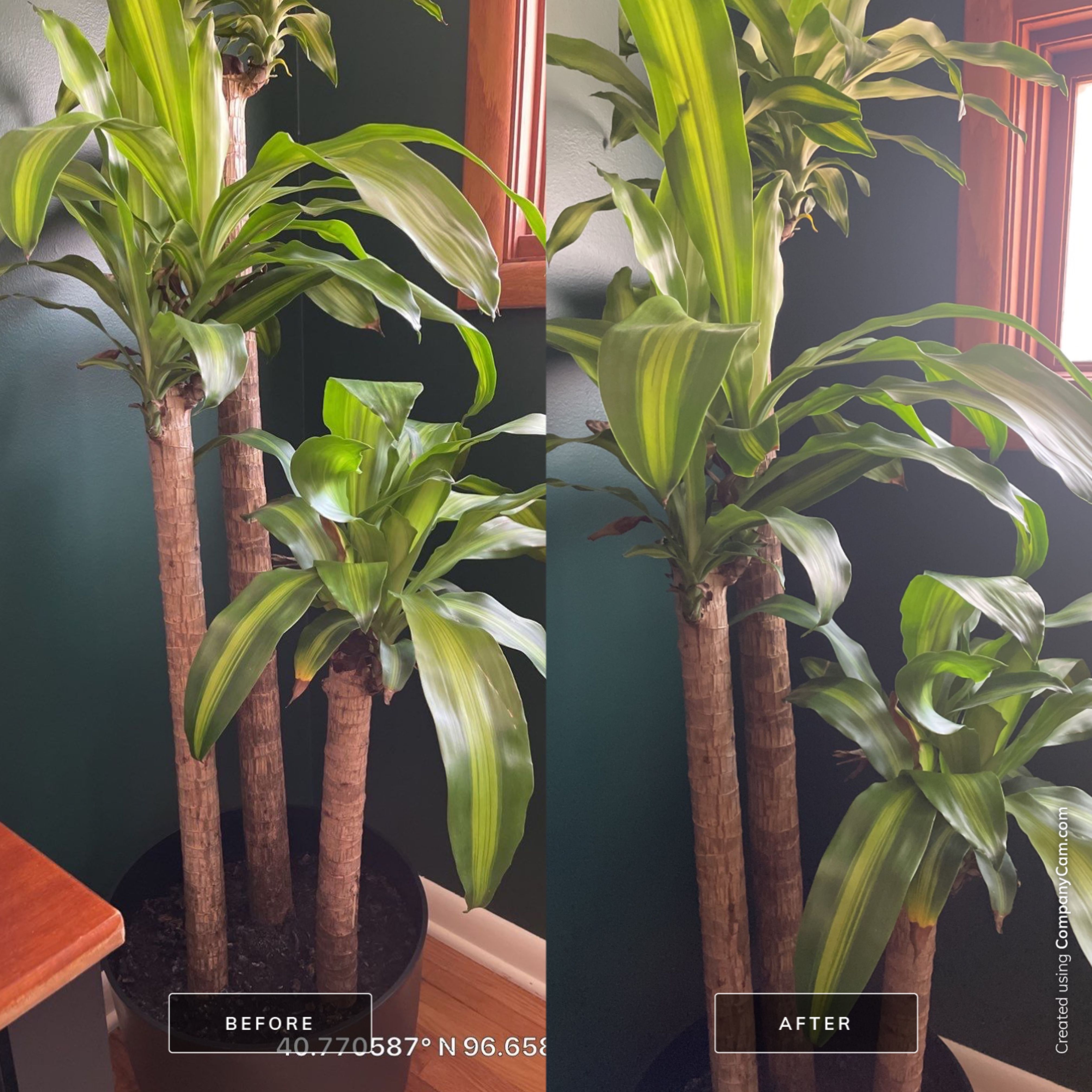 Apartment using sticks by CompanyCam
