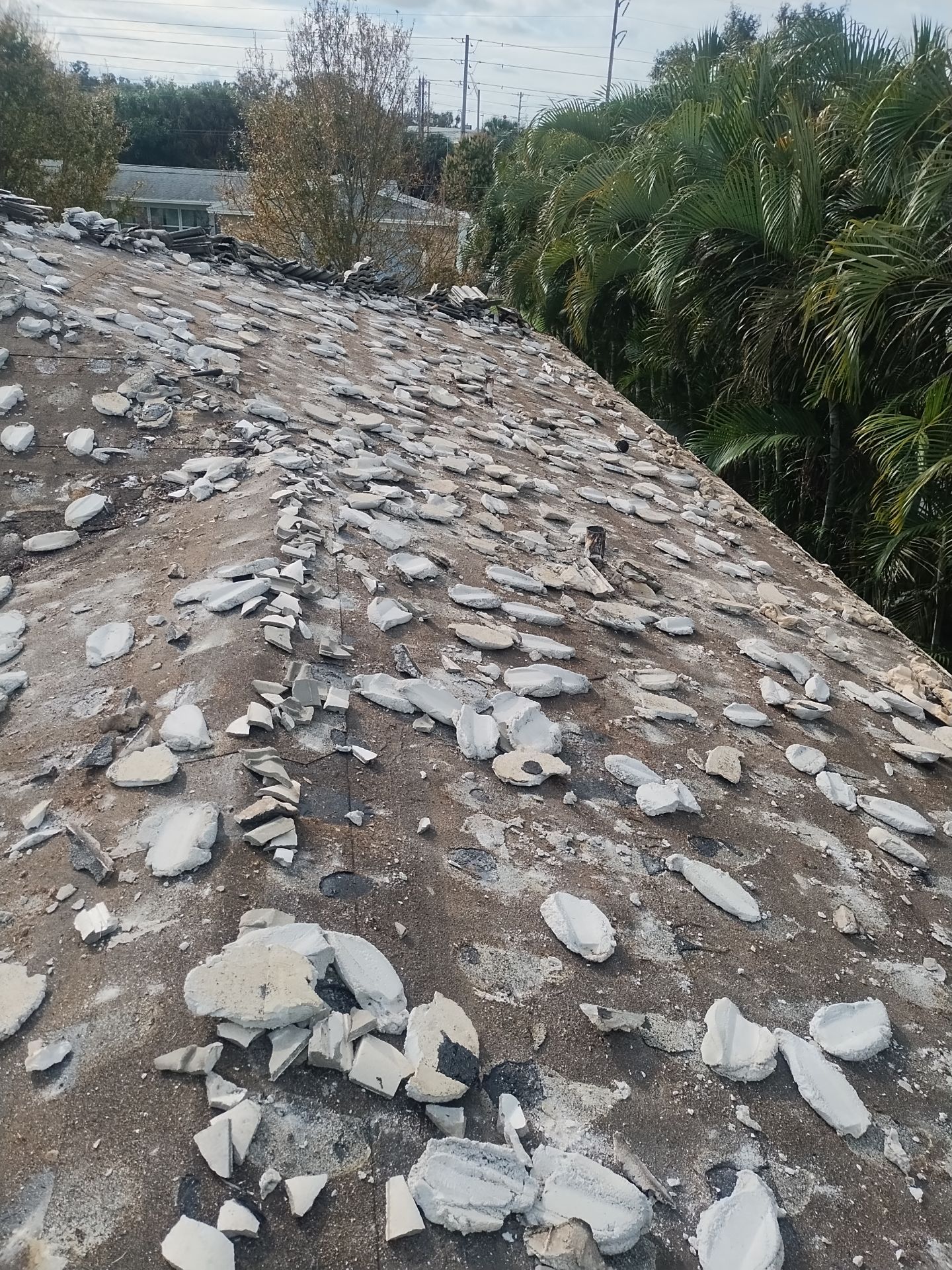 Project in St. Petersburg 33711 by Mitchell Roofing Company LLC
