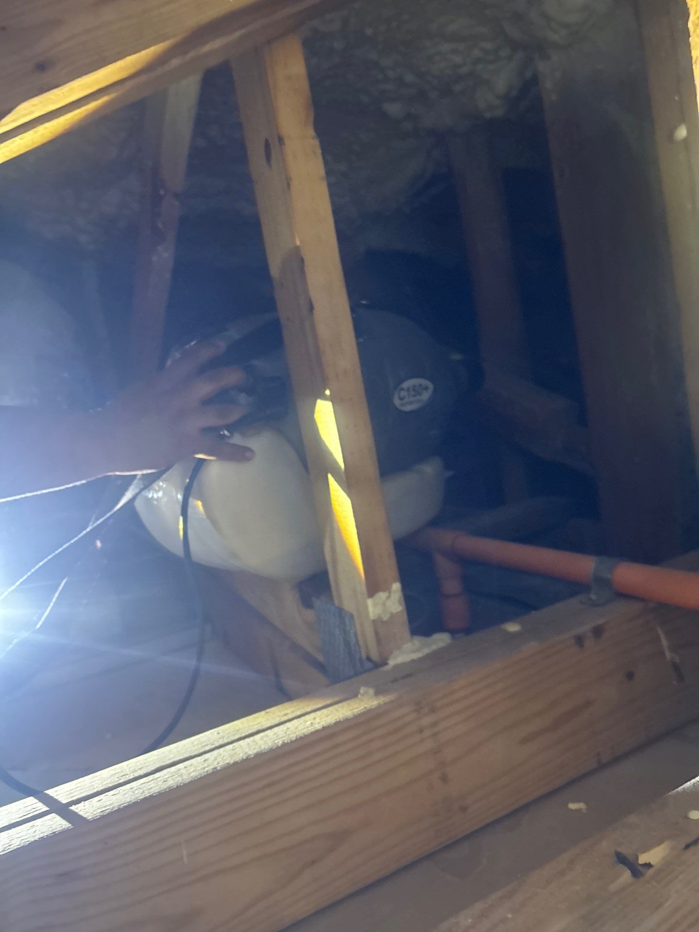 Mold Damage Restoration by Ampm Restoration Services