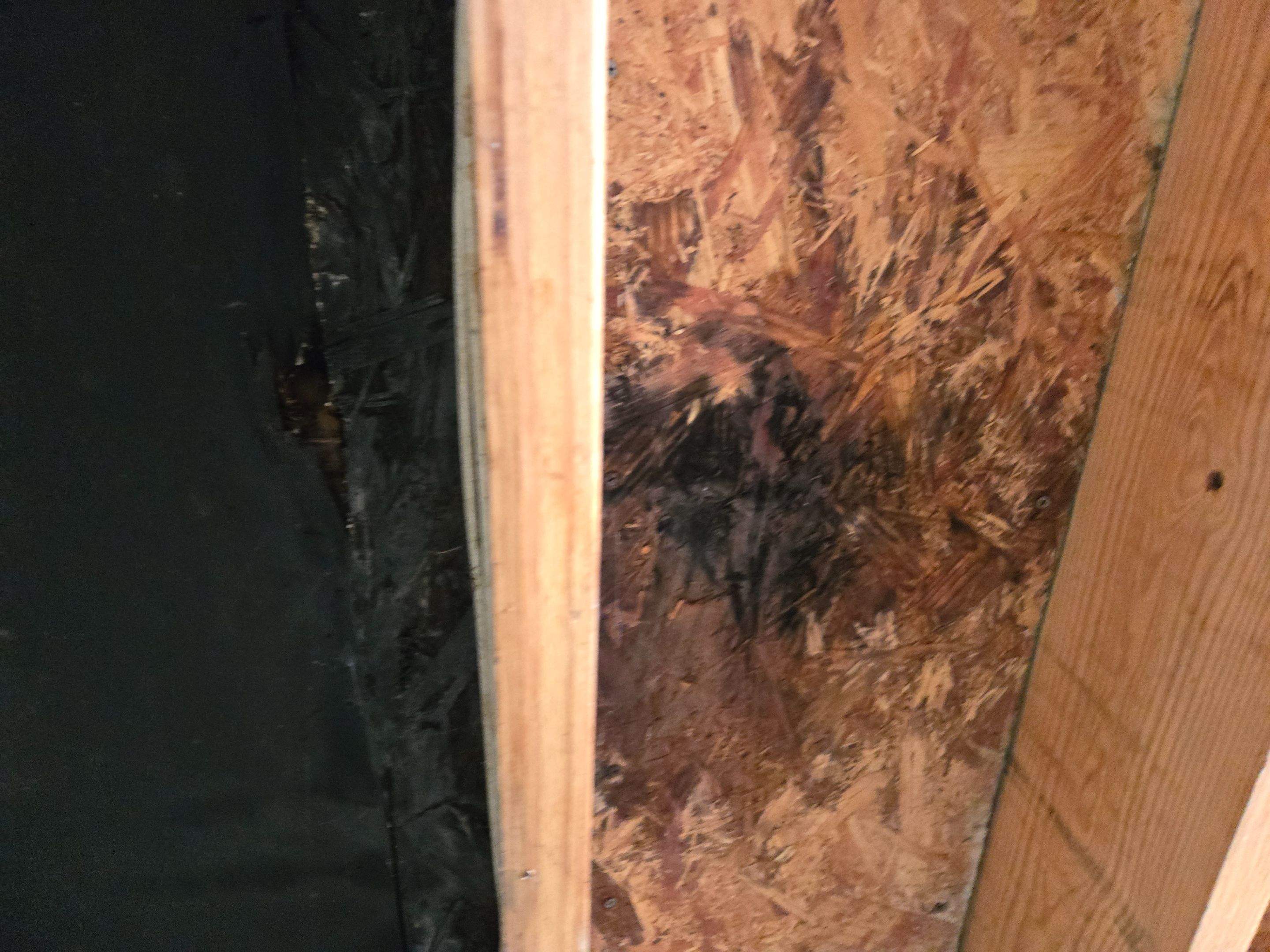 Residential Flat Roof Reconstruction & Substrate Repair by Level Up Roofing and Restoration Services LLC