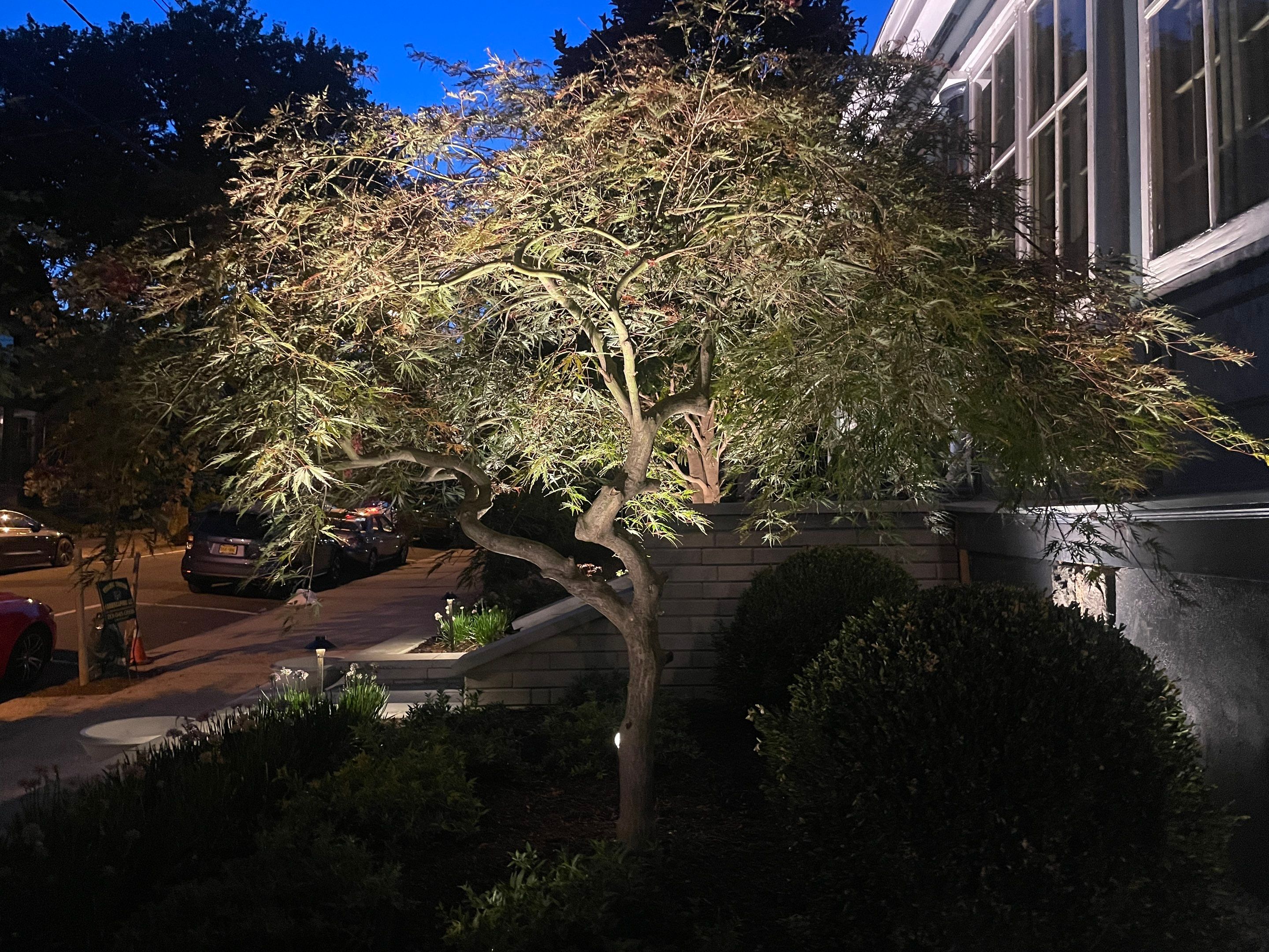 Project in Weehawken Township, NJ by Yellow Wagon Landscaping