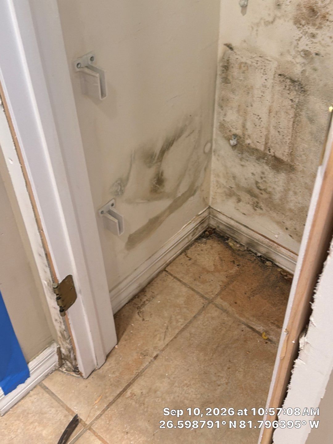 Fort Myers Water Damage Restoration and Professional Mold Remediation by Microscope