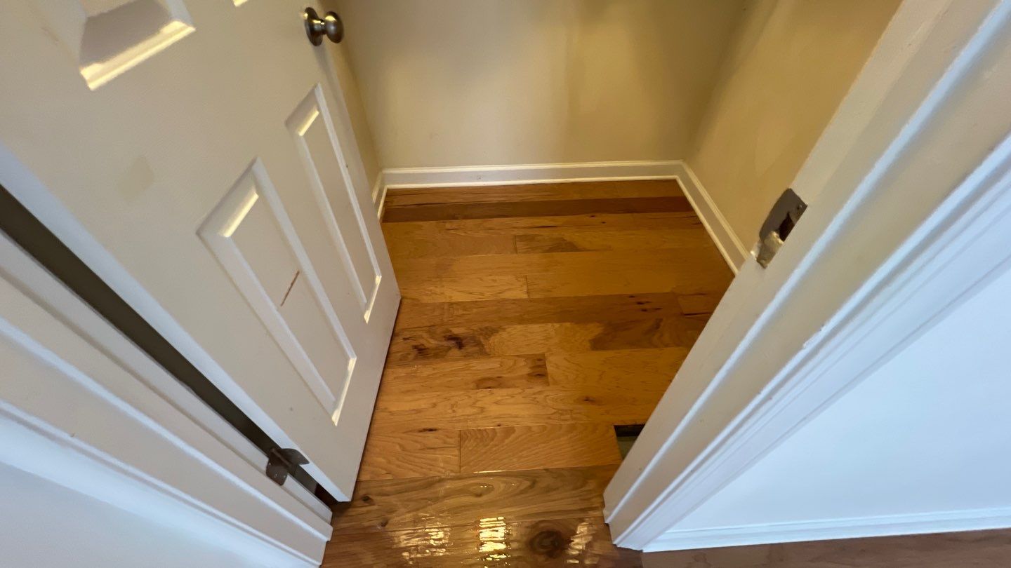 Hardwood Renewal by Monster Clean