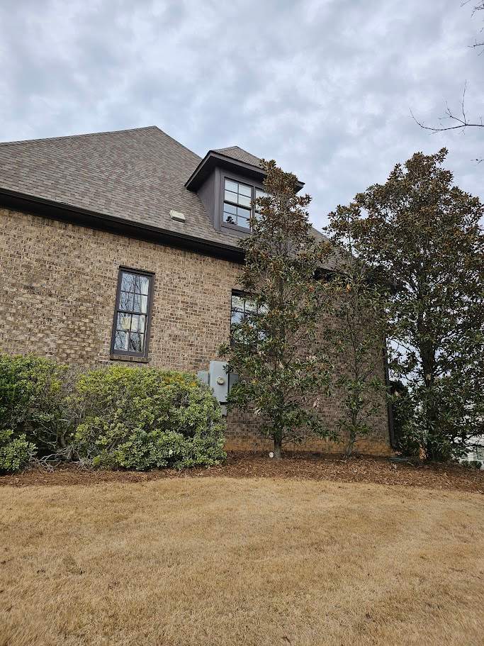 Rosenthal Project in Hoover by The Window Source