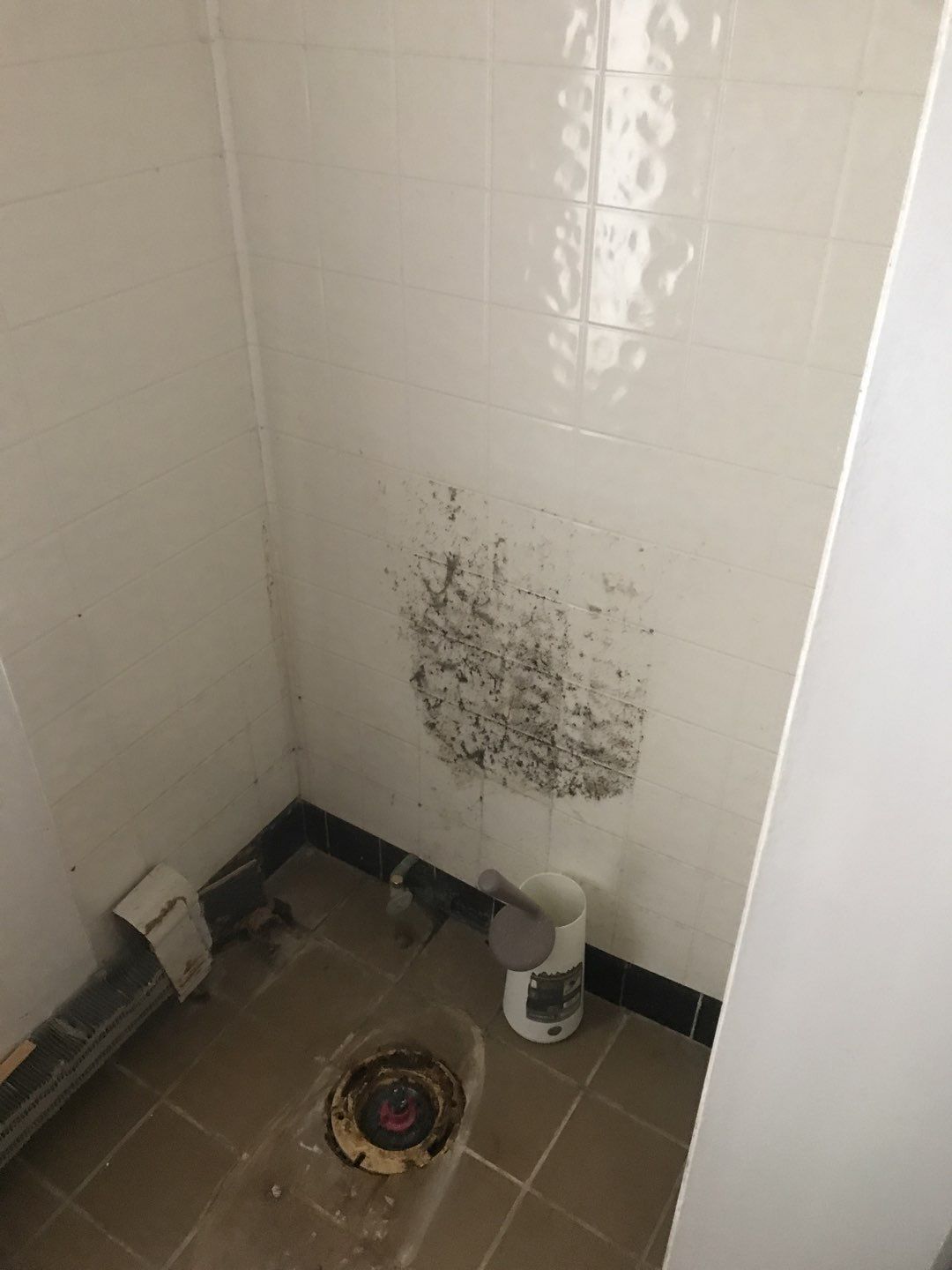 Bathroom Remodel by Ivy Lea Construction