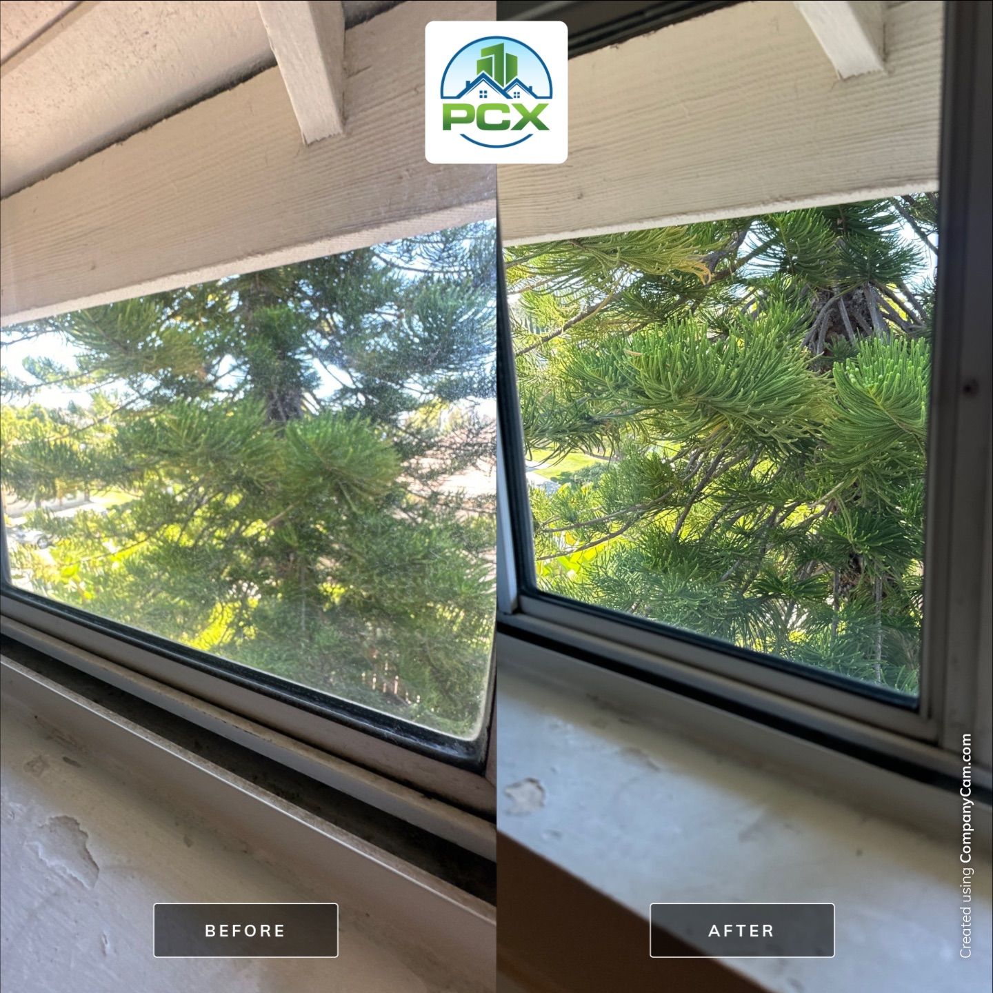 House Washing, Concrete Cleaning, and Window Washing with a Side of Gutters by Property Cleaning Experts