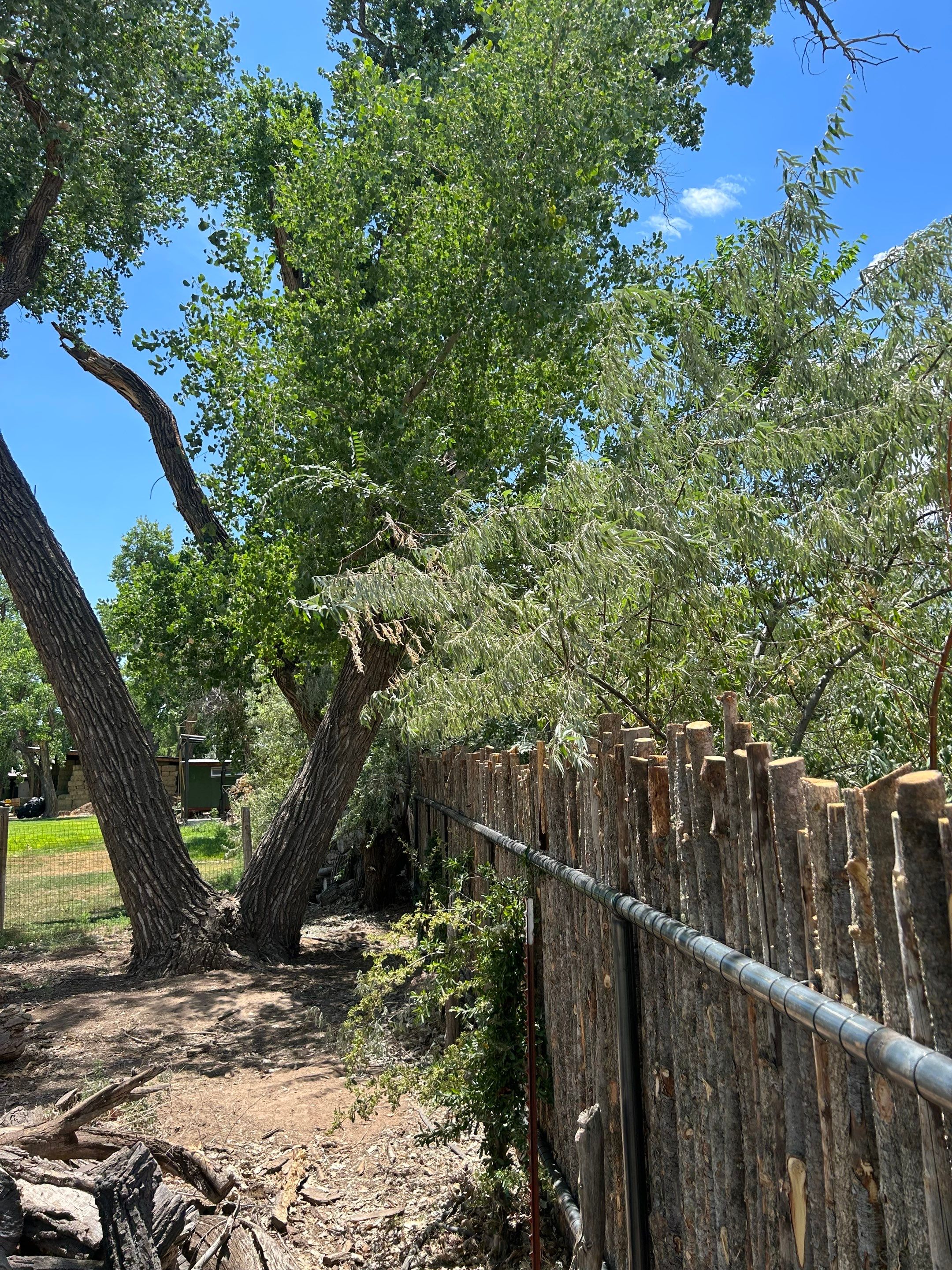 Residential using Latilla by Valley Fence Company