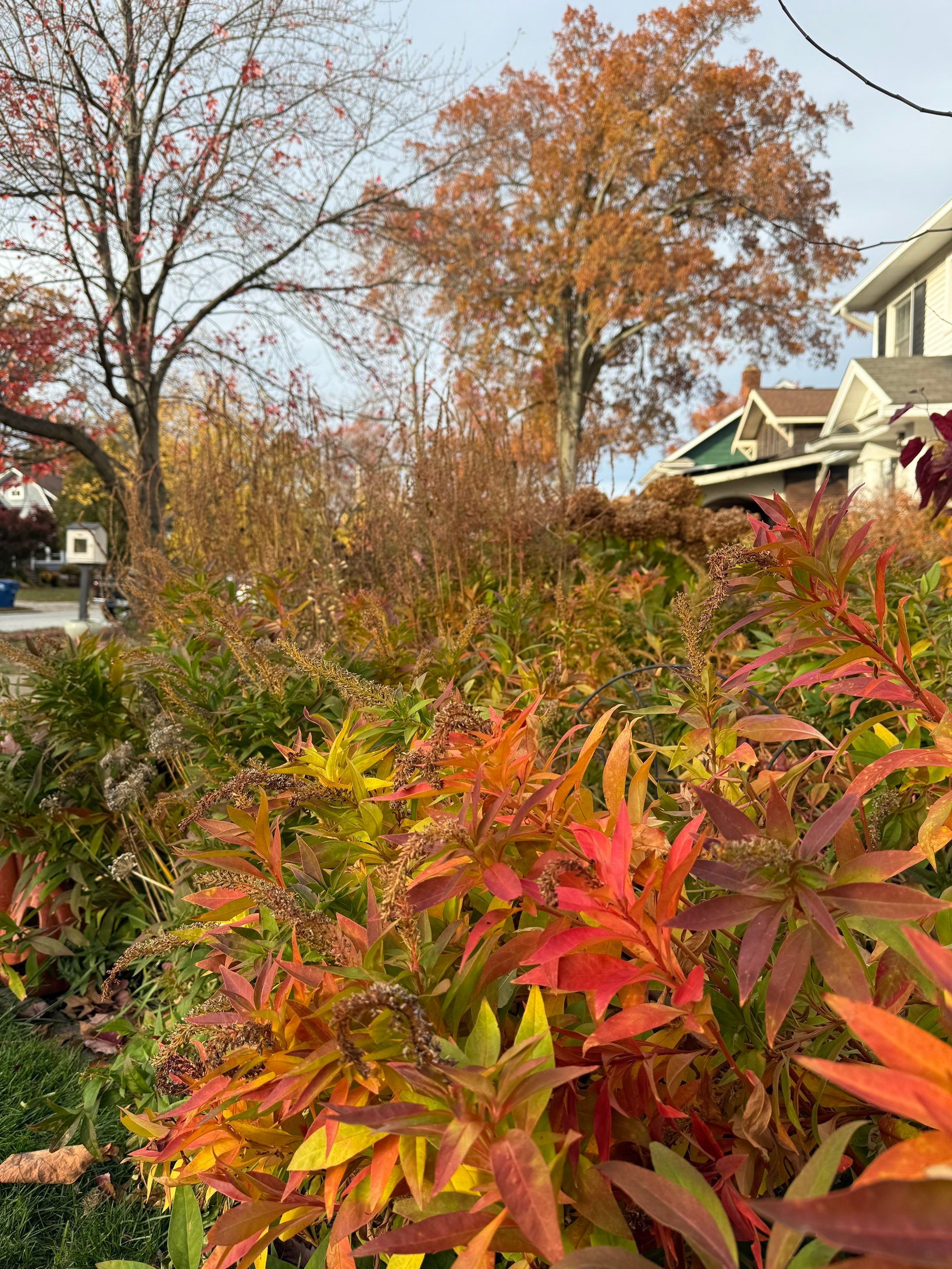 Elm Rose Home Project by Elm Rose Gardens