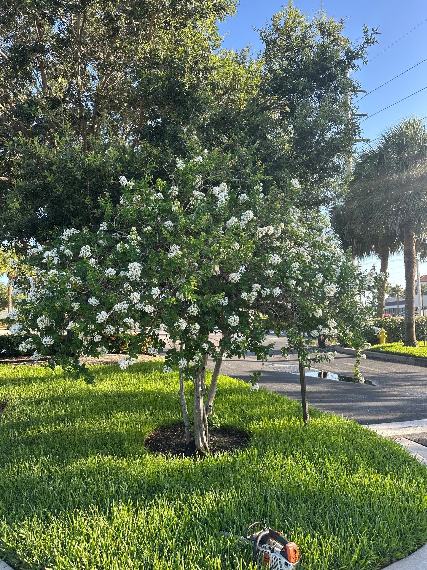 🛏️ City Mattress Refresh — Jensen Beach by Alpha Zeta Enterprises Inc