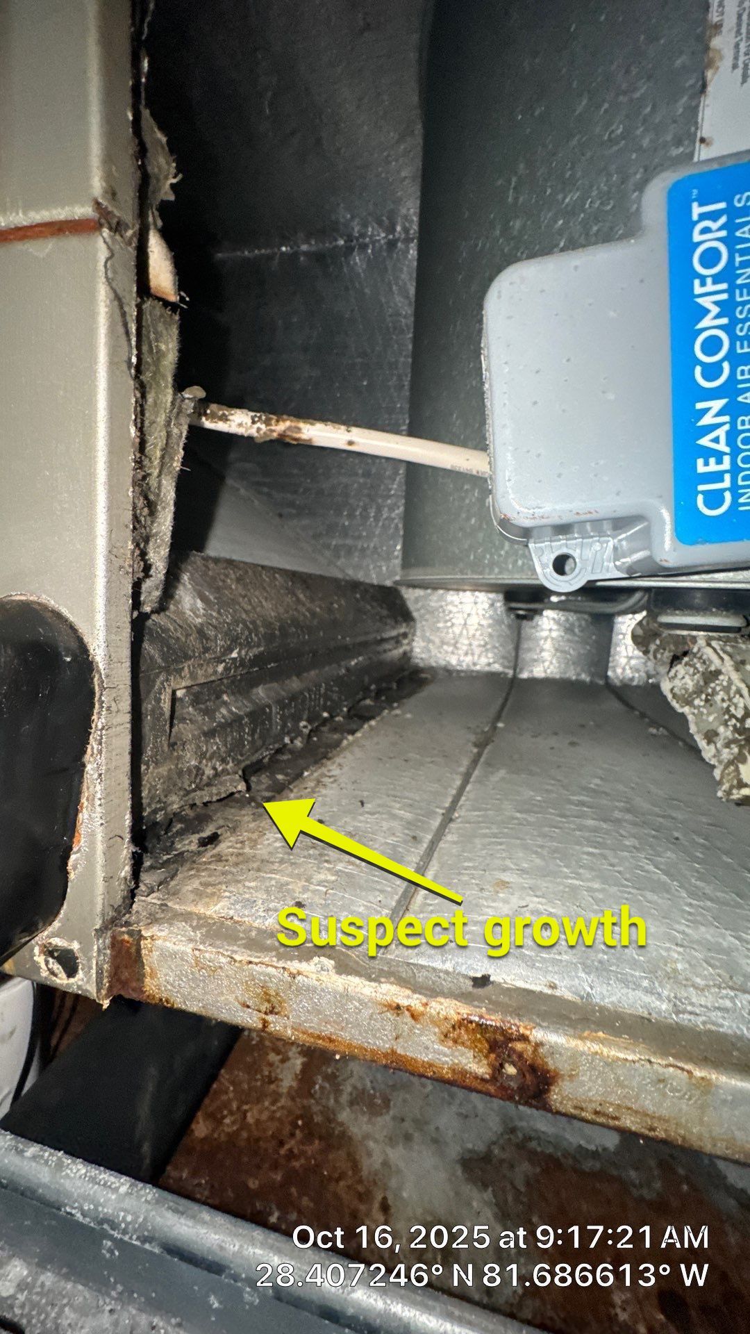Air Duct Cleaning in Clermont by Hygienic Air, Inc