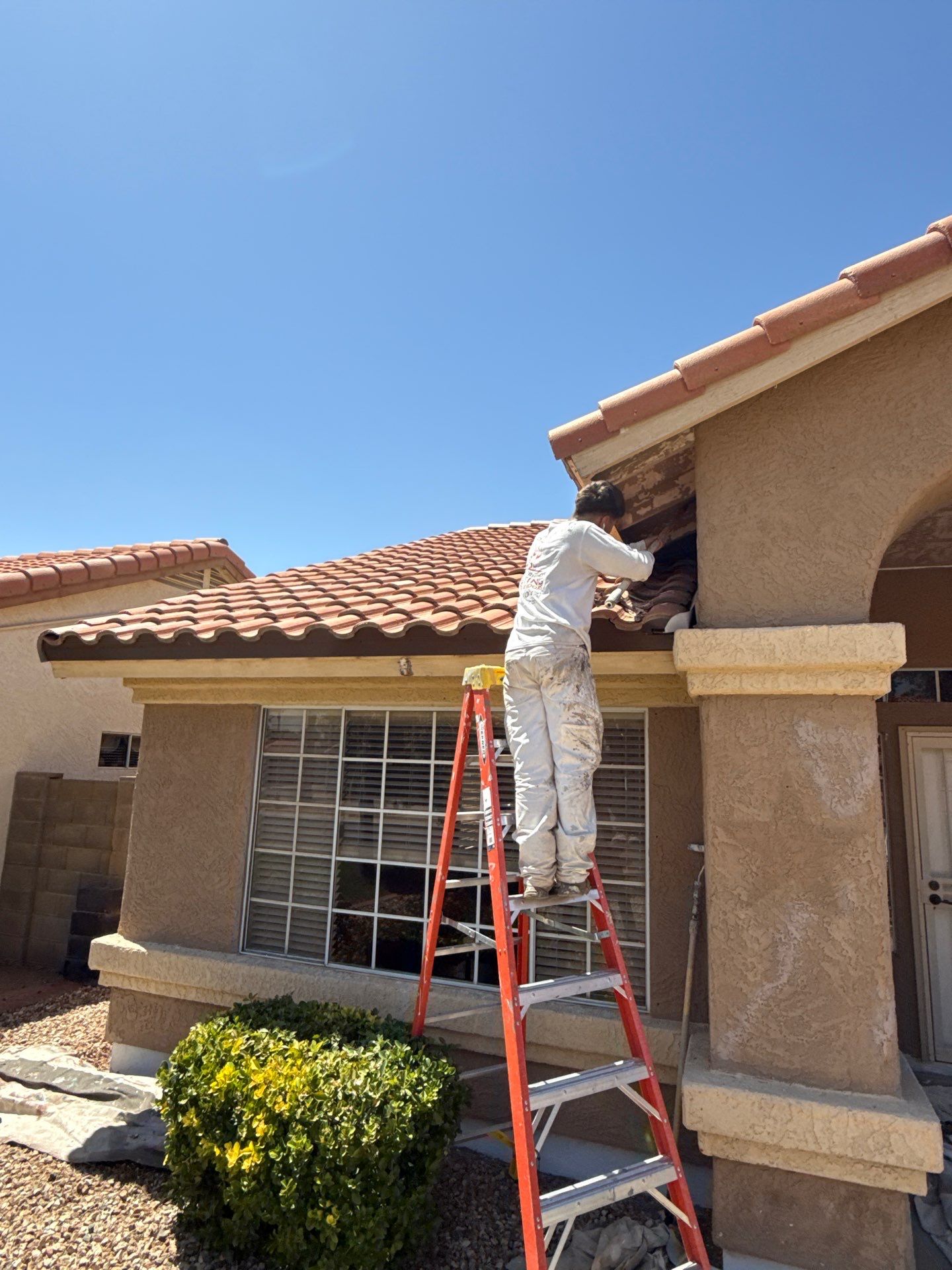 Exterior Painting - Chandler by Crash of Rhinos Painting & Garage Floors