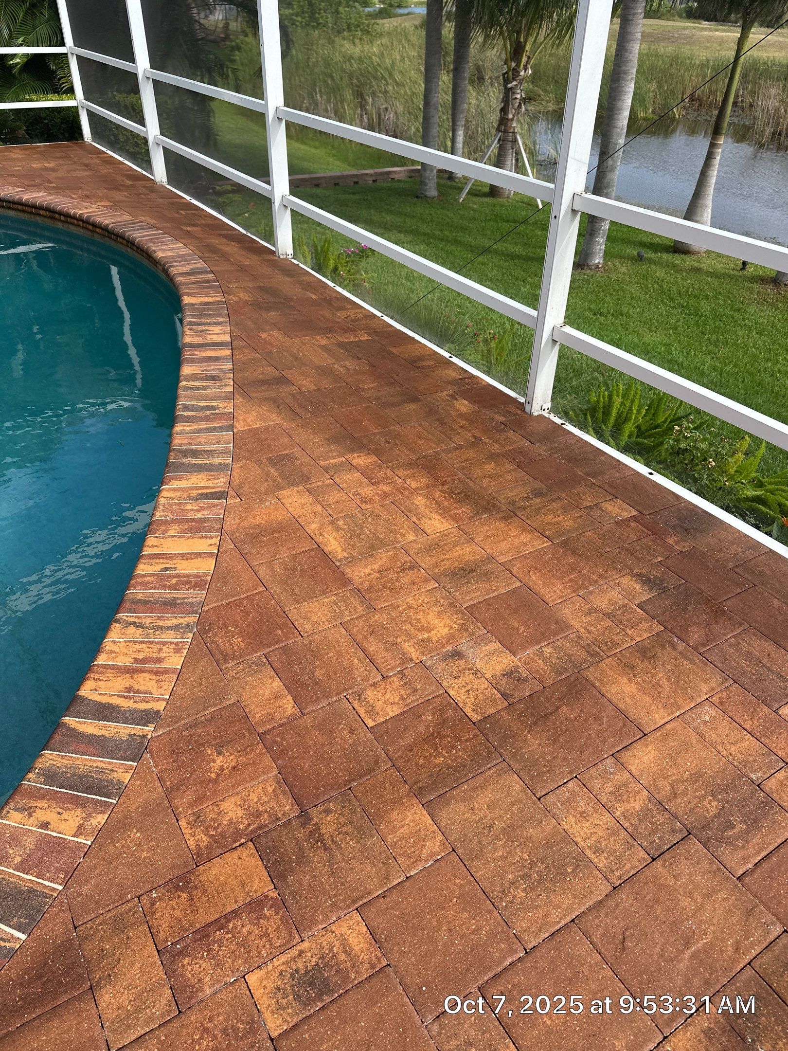 Driveway and Pool Deck Paver Restoration in Apollo Beach by Supreme Paver Experts