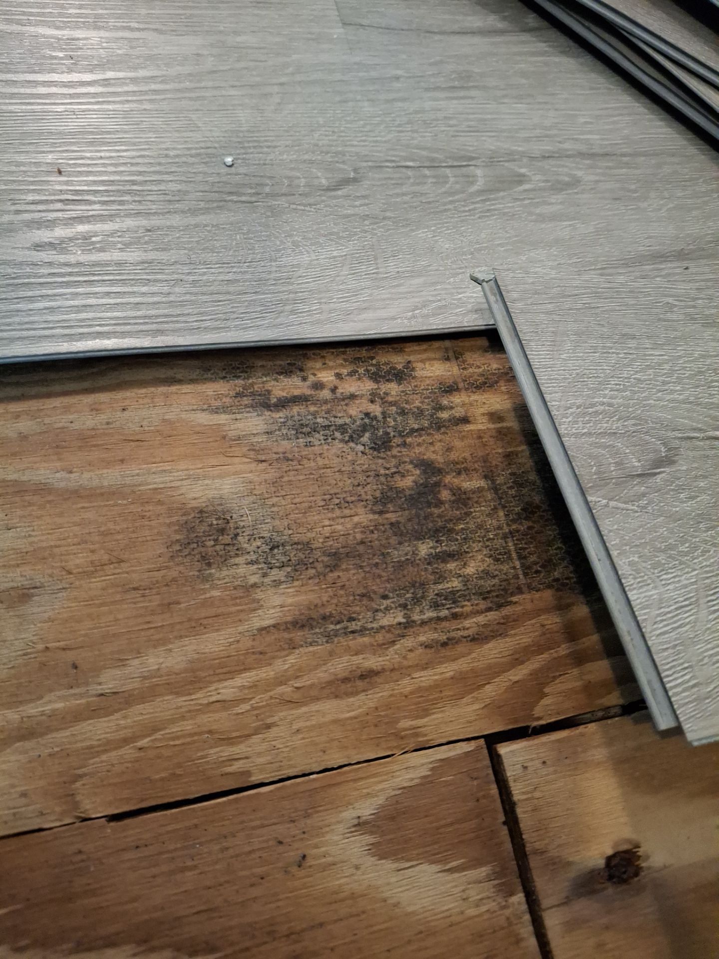 Construction by EAS Environmental, LLC.