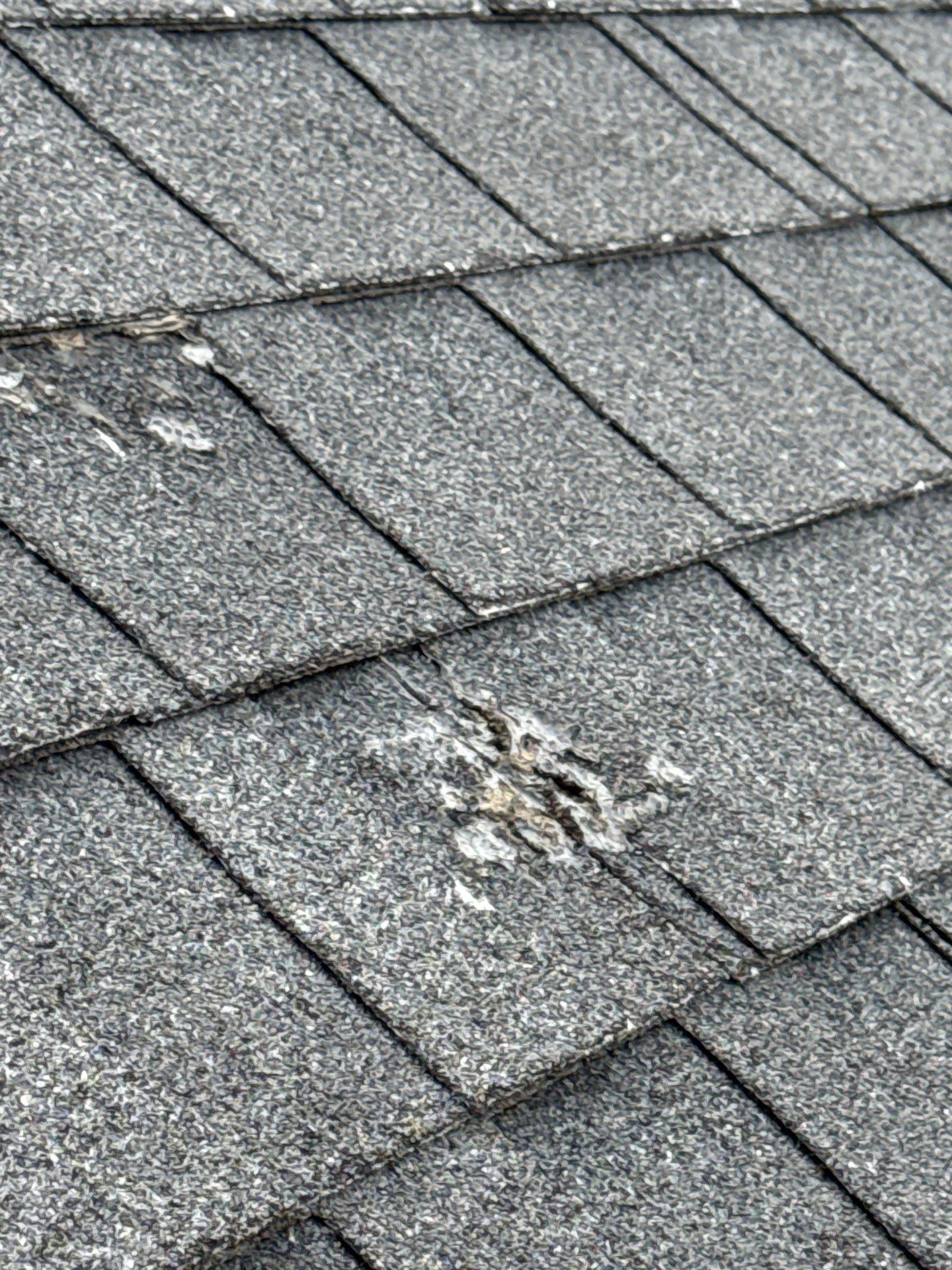 Full Residential Roof Replacement and Ventilation Upgrade in Meridian by Olive Roofing