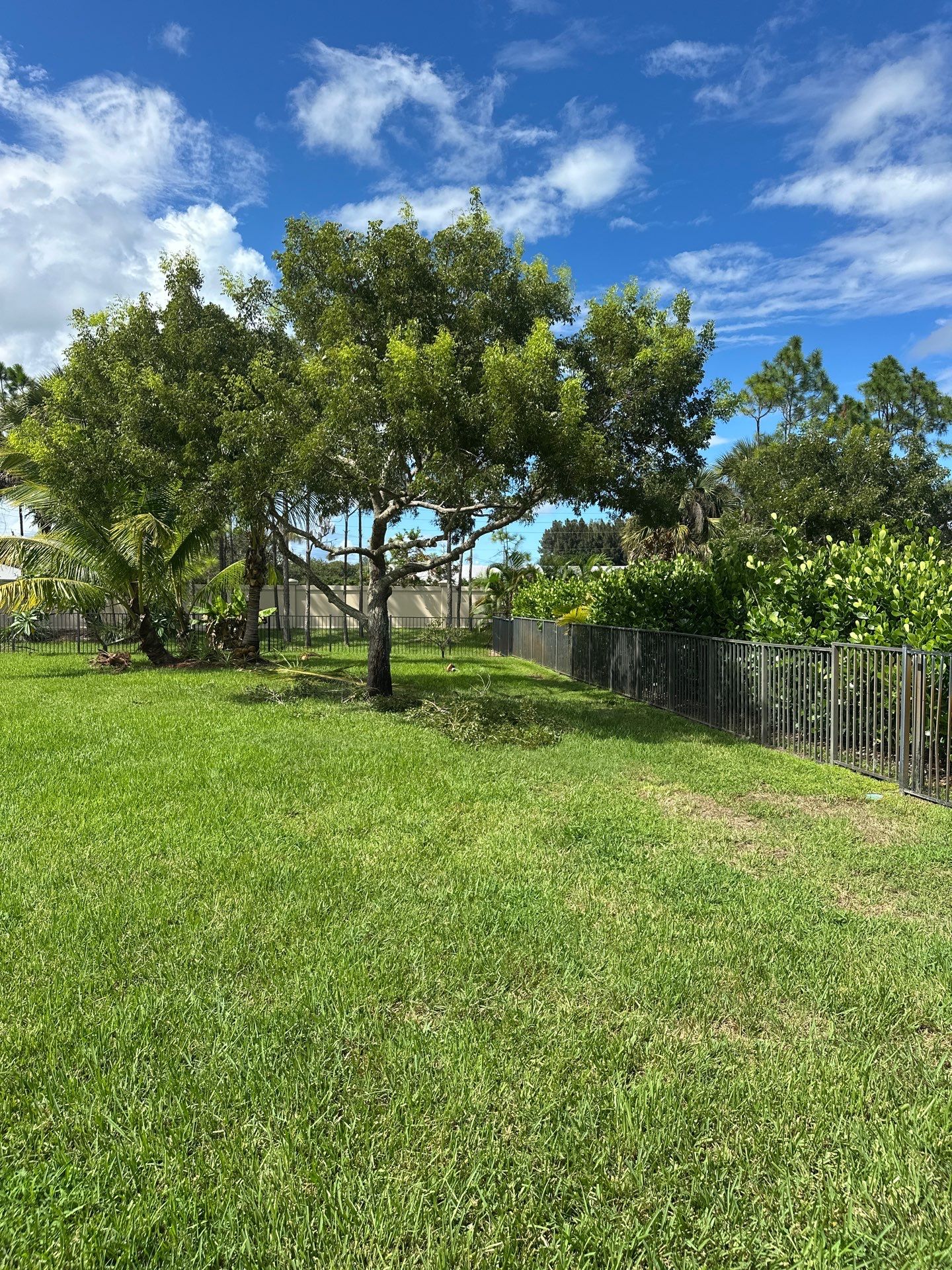 From Overgrown to Picture-Perfect - Stuart Refresh by Alpha Zeta Enterprises Inc