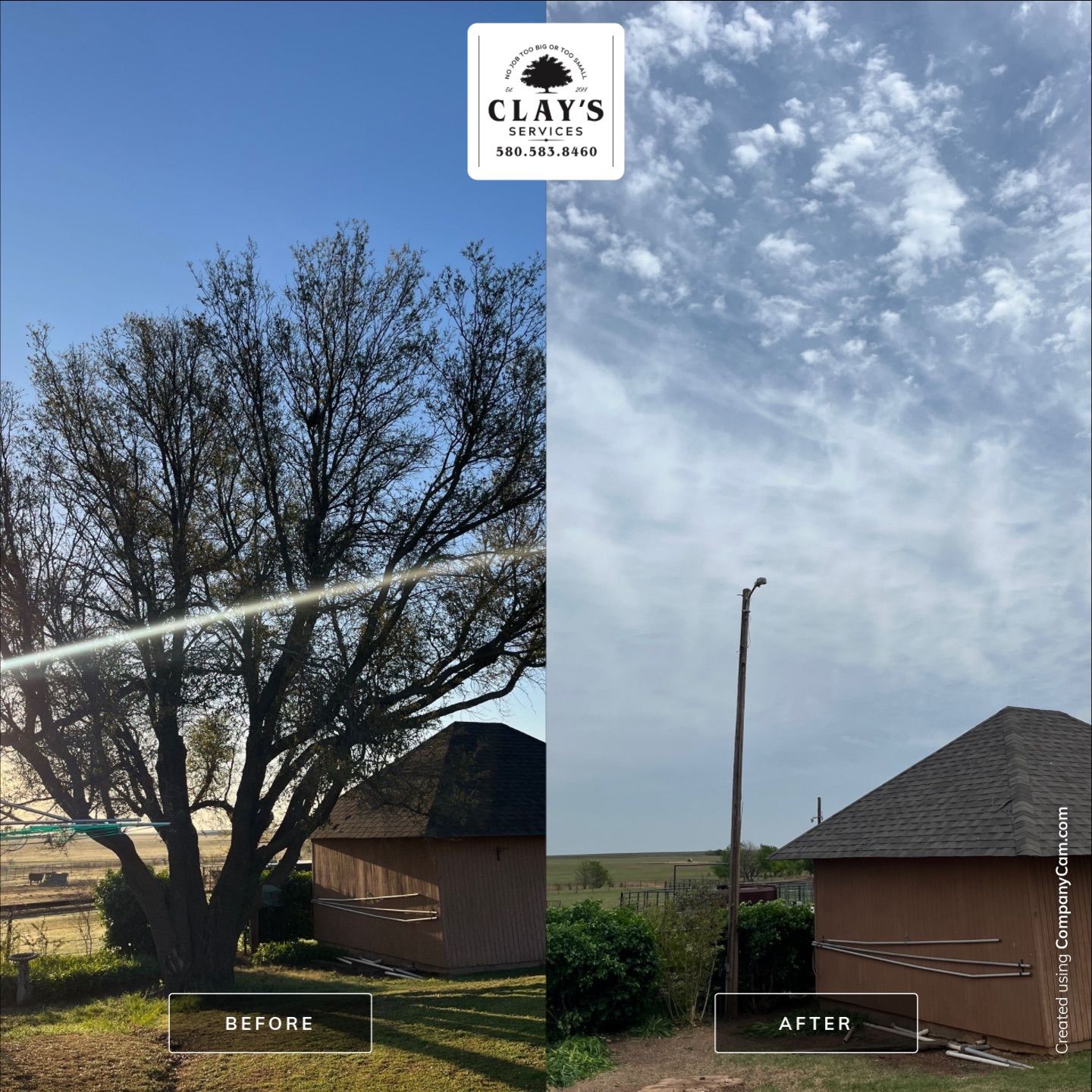 Tree Removal by Clays Services Inc