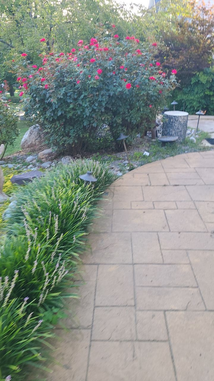 Dumfries: CertainTeed Landmark Pro Designer Shingles in Max Def Weathered Wood by RM Banning, Inc.