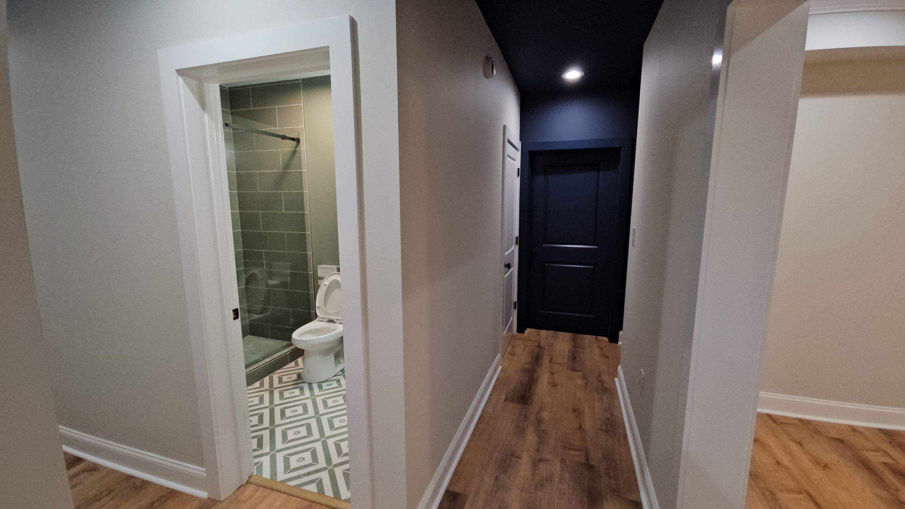 Palmetto Basement by Ajayi Design and Construction 