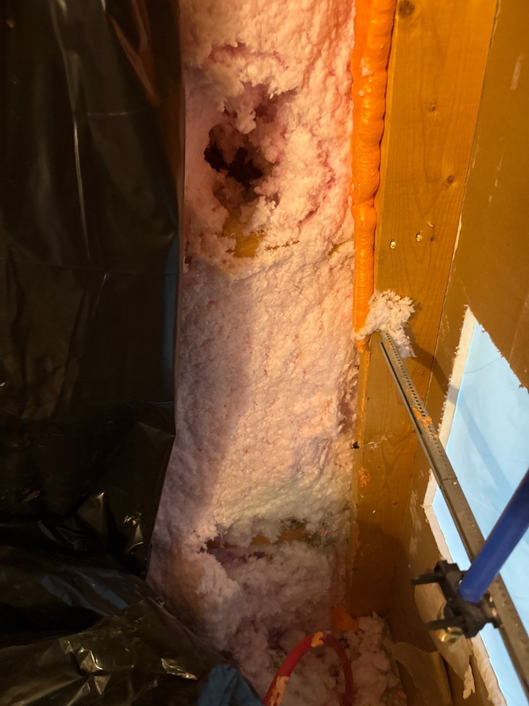 Bathroom and Crawlspace Water Damage and Mold by Healthy Home Solutions