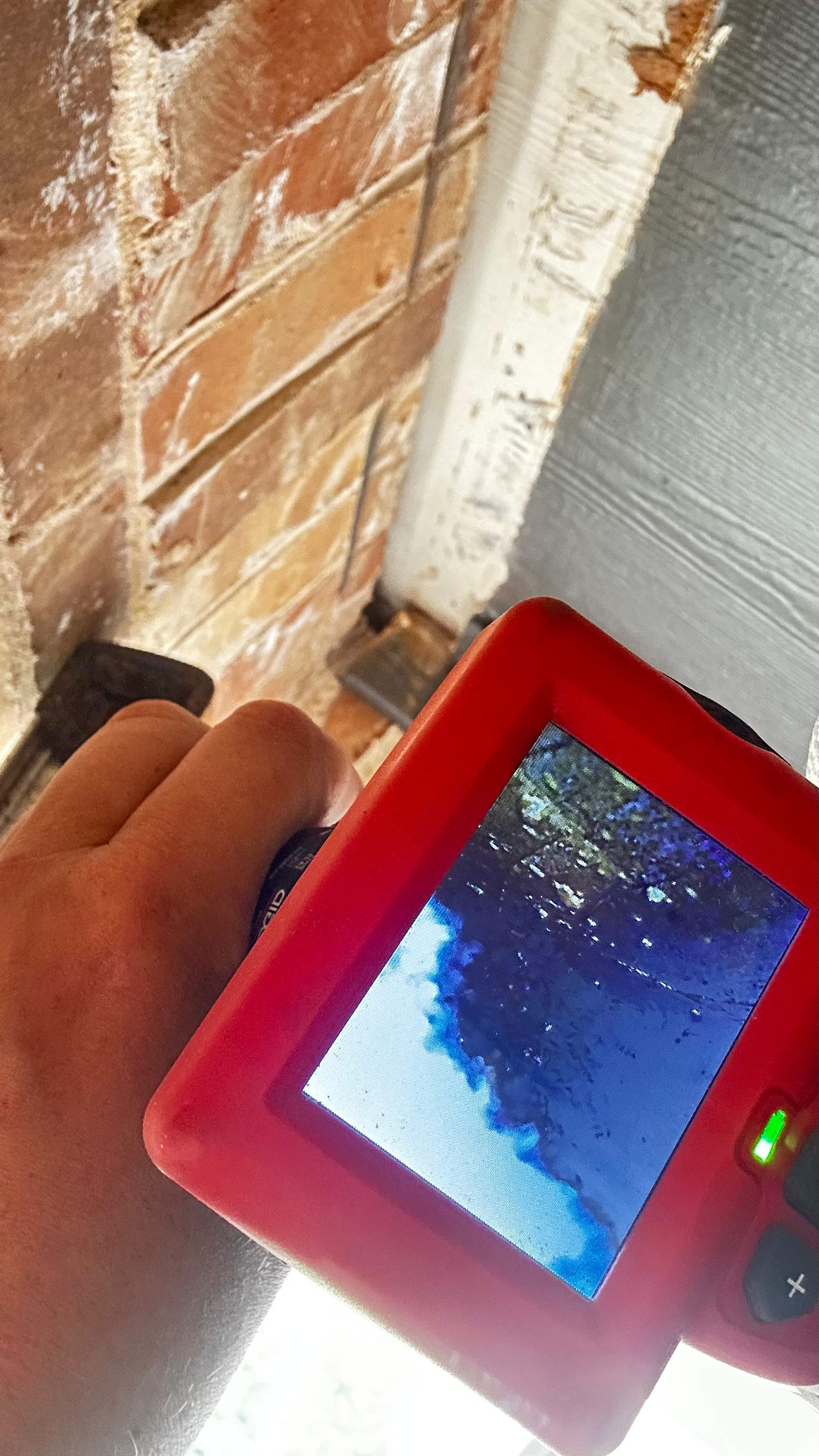 Bees Underfoot by Rockwall Honey Bee Company