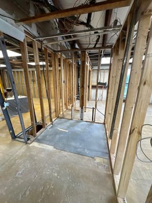 Commercial Mold Remediation