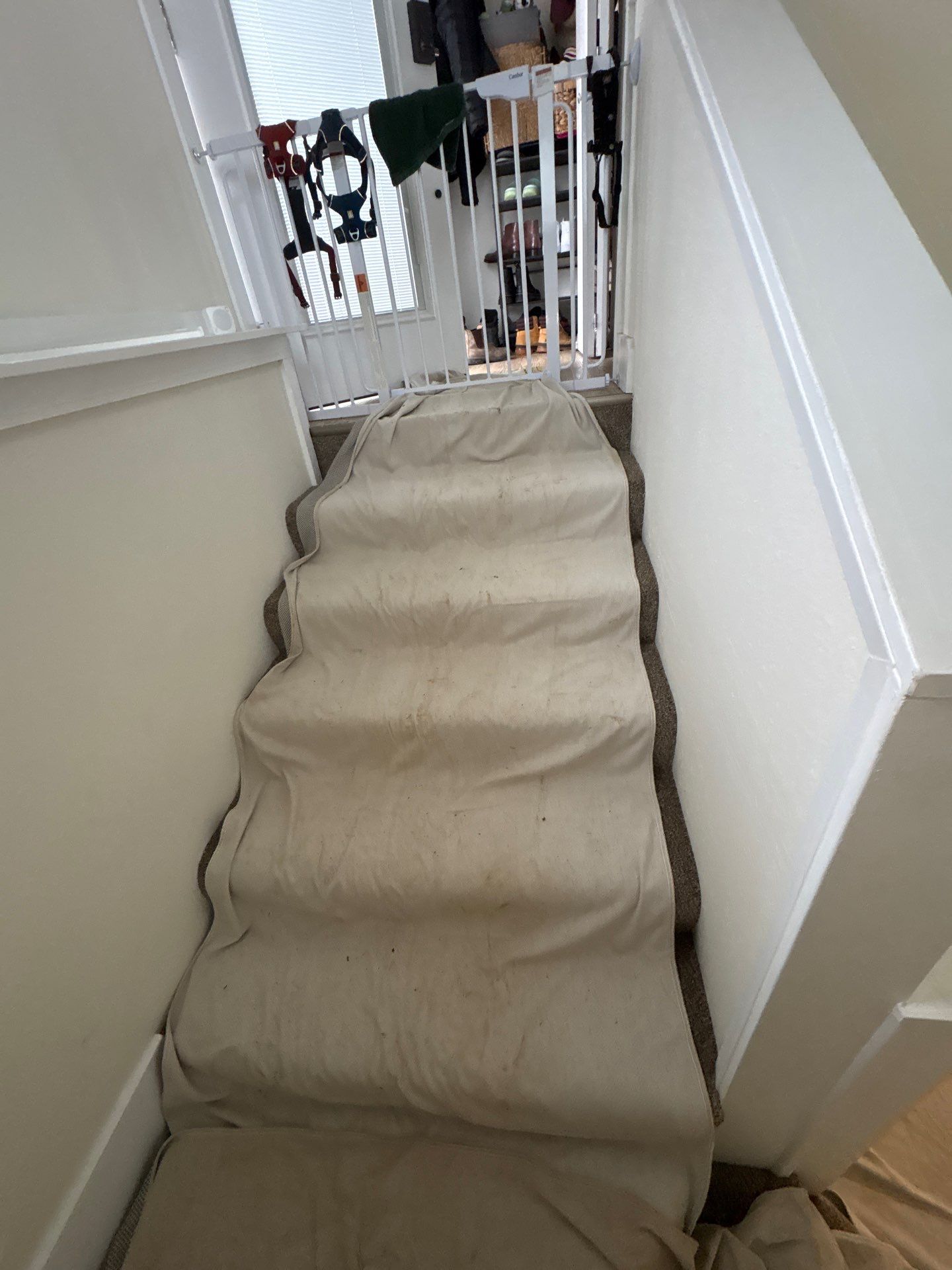 Vancouver Project by JustRadon.Com