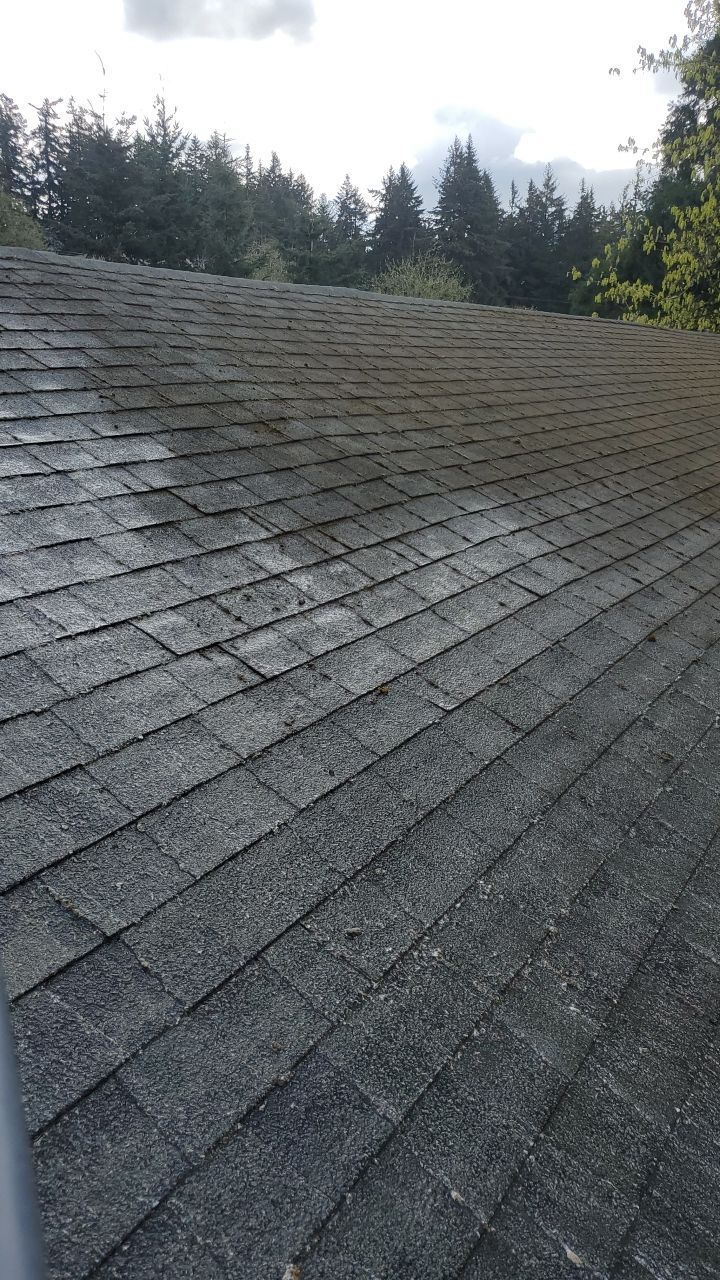Roof Cleaning Moss Treatment by Willamette Outdoor Wash LLC