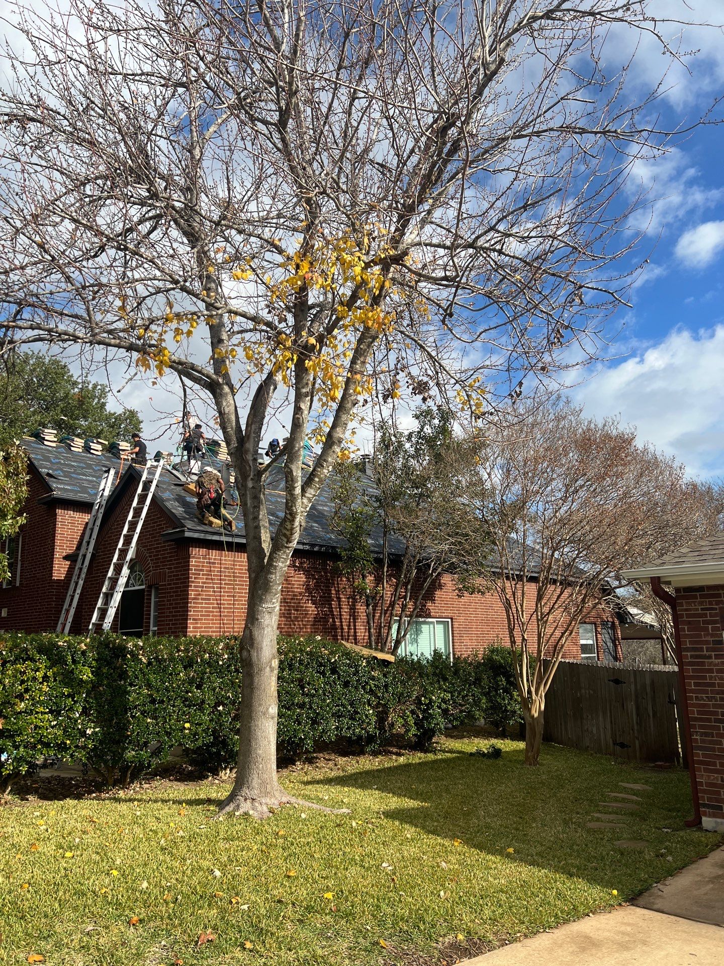 Project in Austin by Rhino Roofing and General Contracting, LLC
