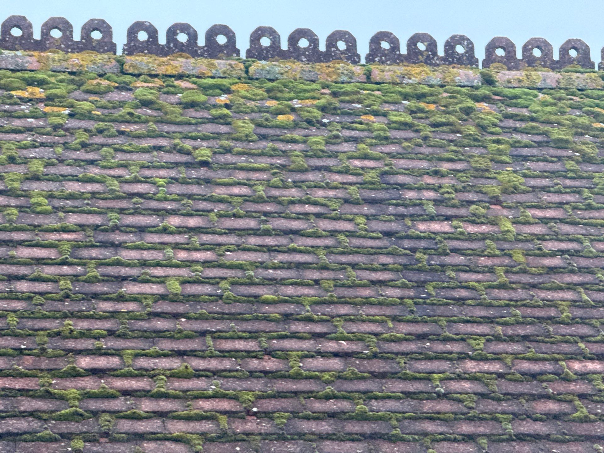 Roof And Render Clean by Ges Exterior Cleaning ltd