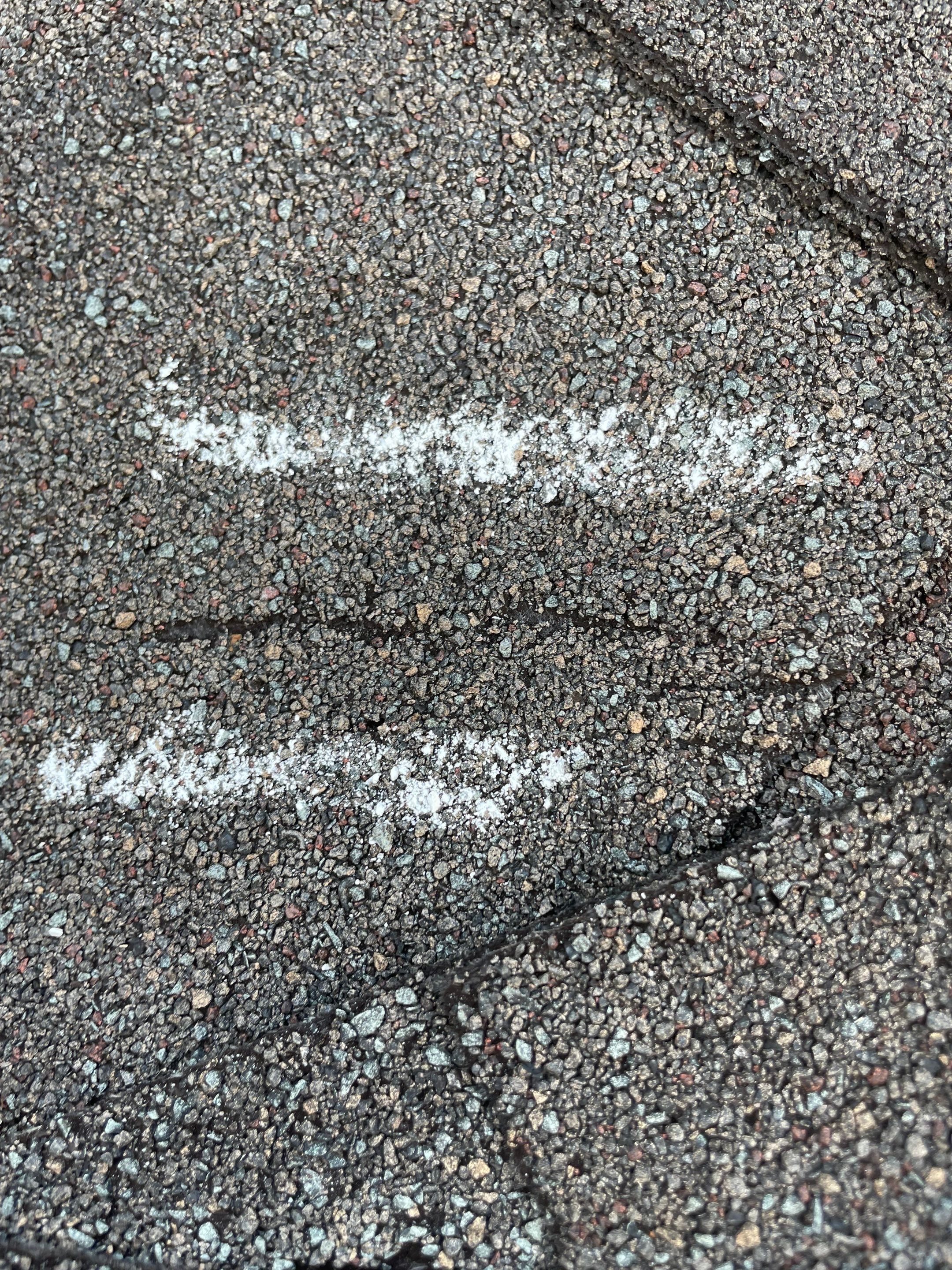 commercial pressure washing using Algaecide, soft wash soap by Northern Power Washing LLC.