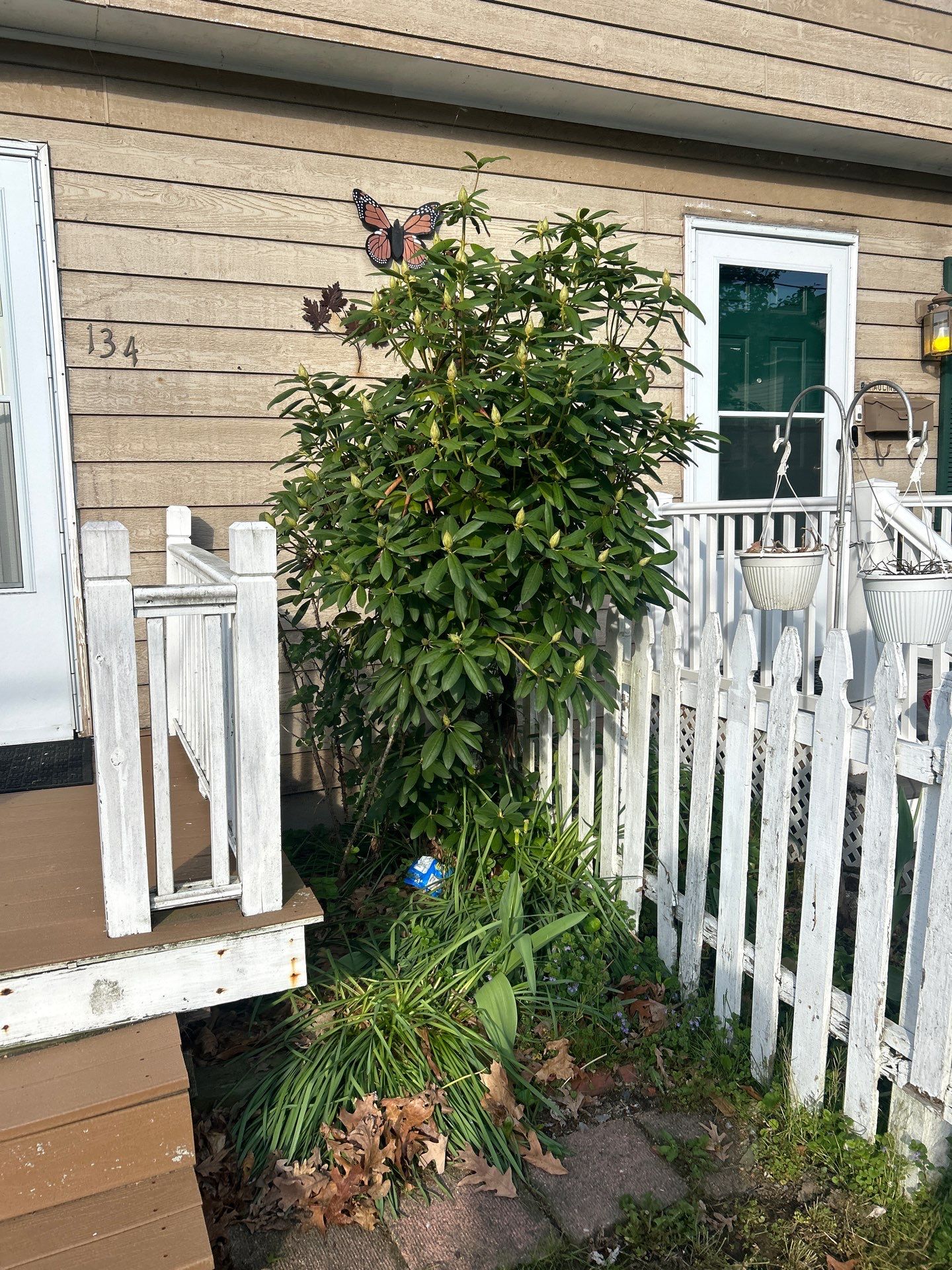 Roofing & Gutters | Lawrence by Mighty Dog Roofing of Greater Middlesex County