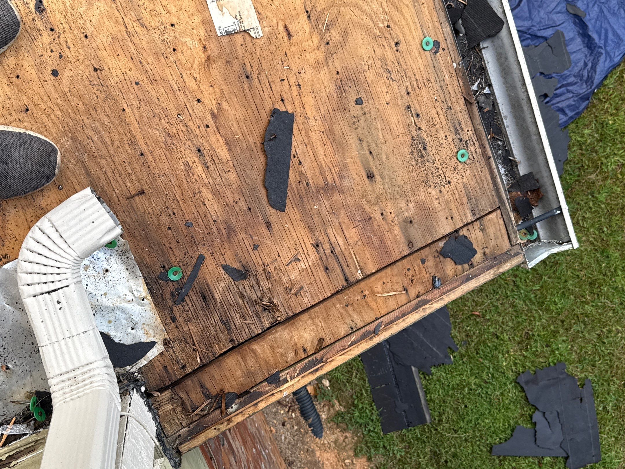 Dolly Ditchie by United Contracting and Roofing