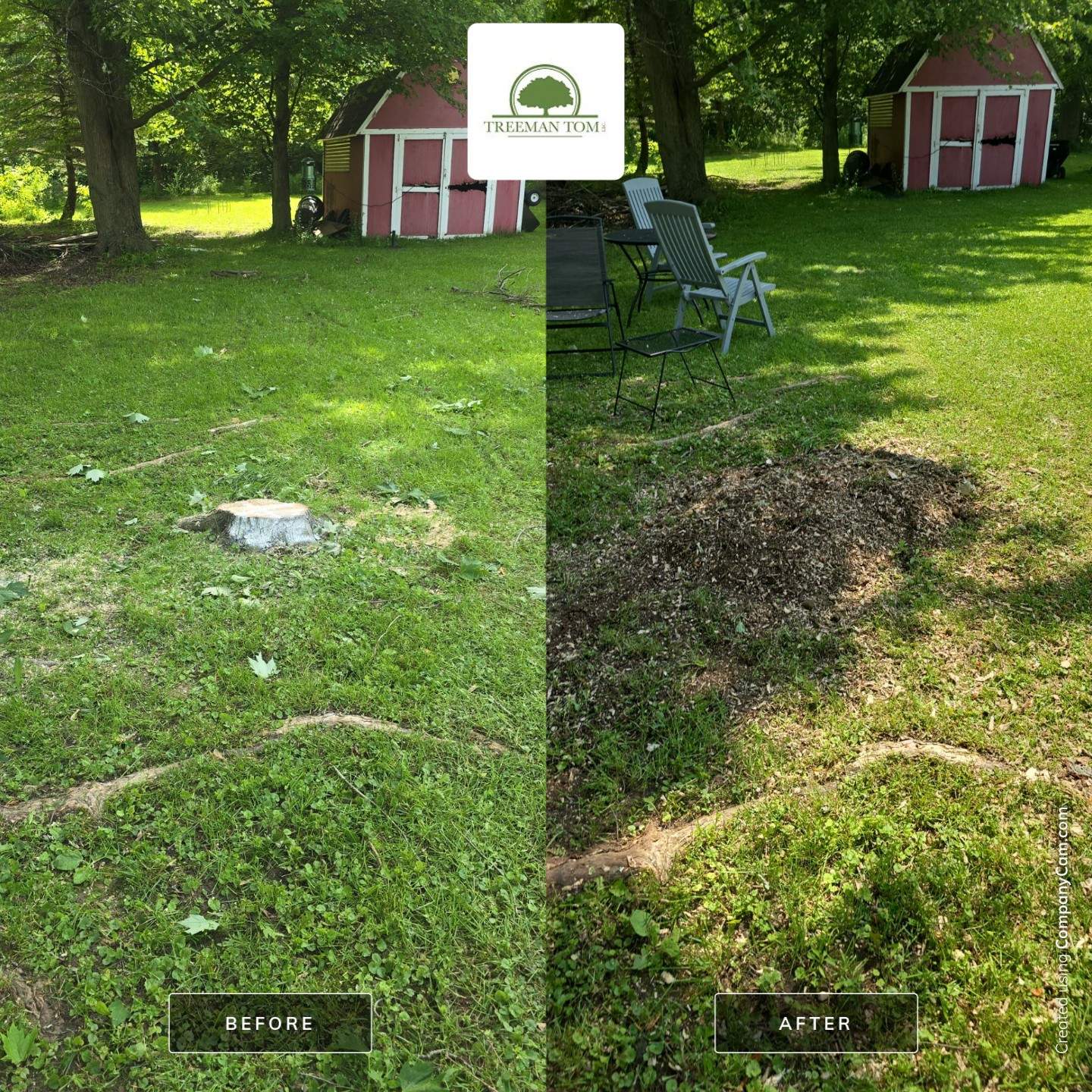 Removal for Future Projects  by Treeman Tom LLC