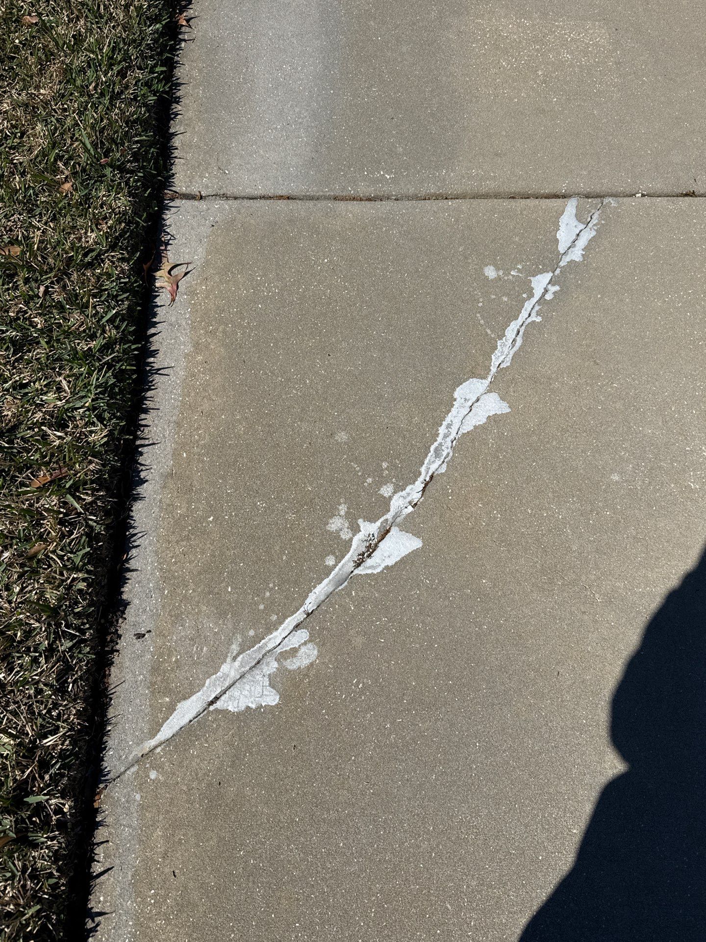 Driveway & Sidewalk Upgrade With Nightfall Flake by Performance Floors & Coating