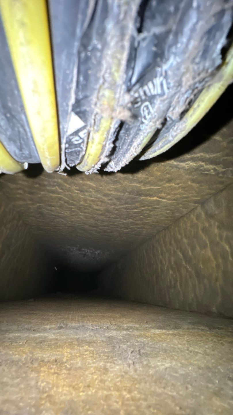 Air Duct Cleaning in Orlando by Hygienic Air, Inc