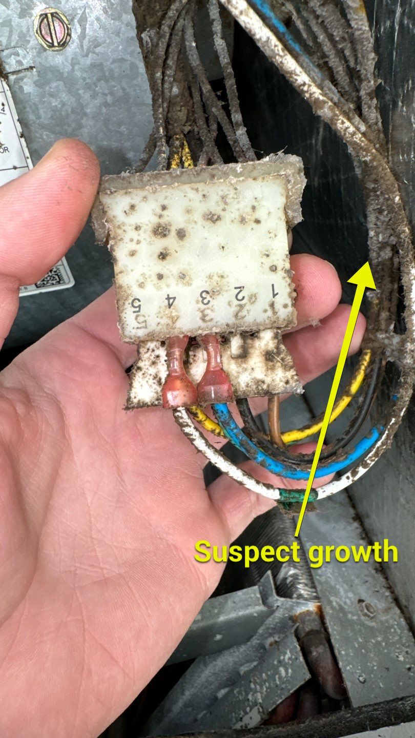 Air Duct Cleaning in Orlando by Hygienic Air, Inc