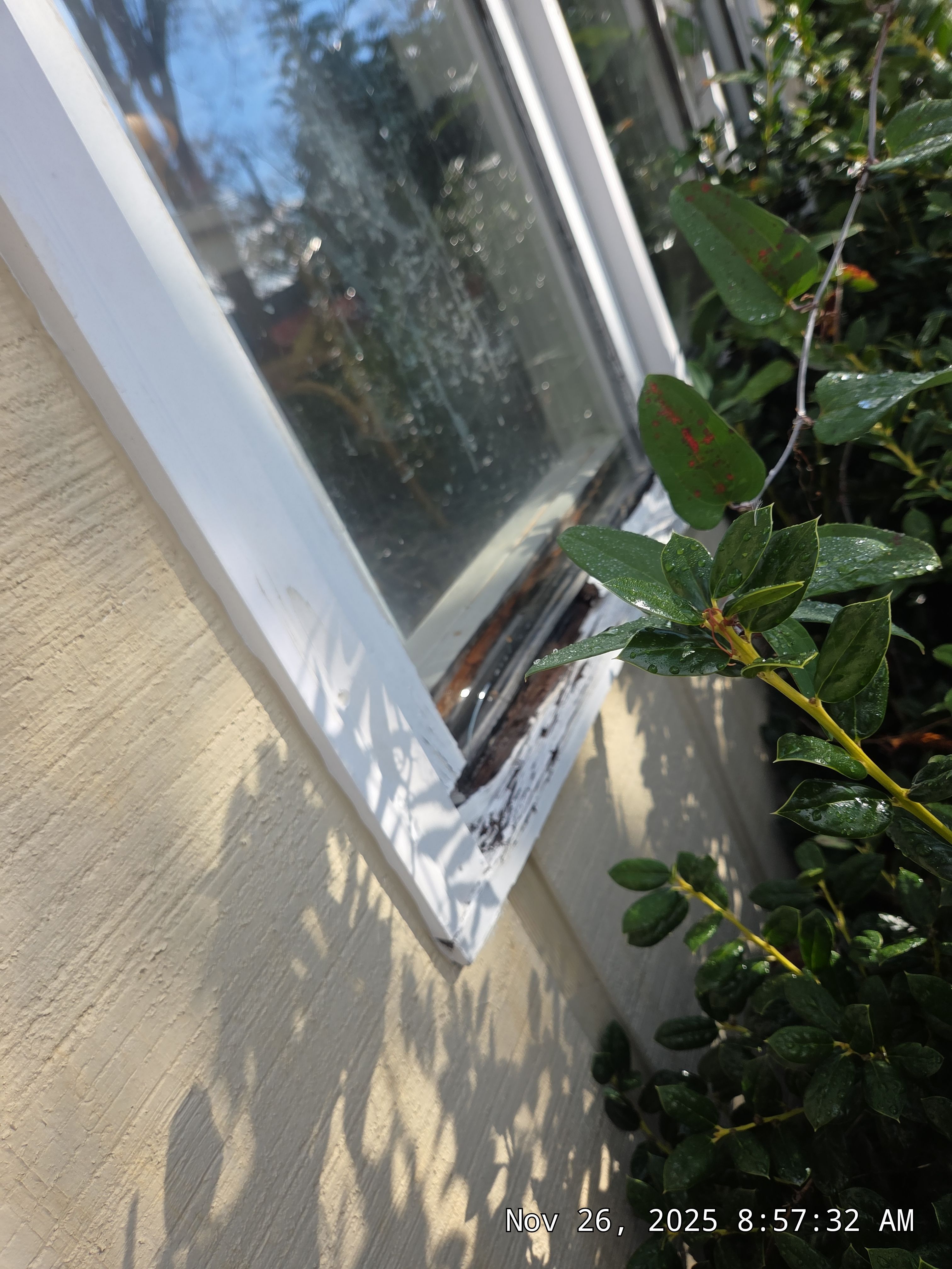 Clark Project in Hoover by The Window Source