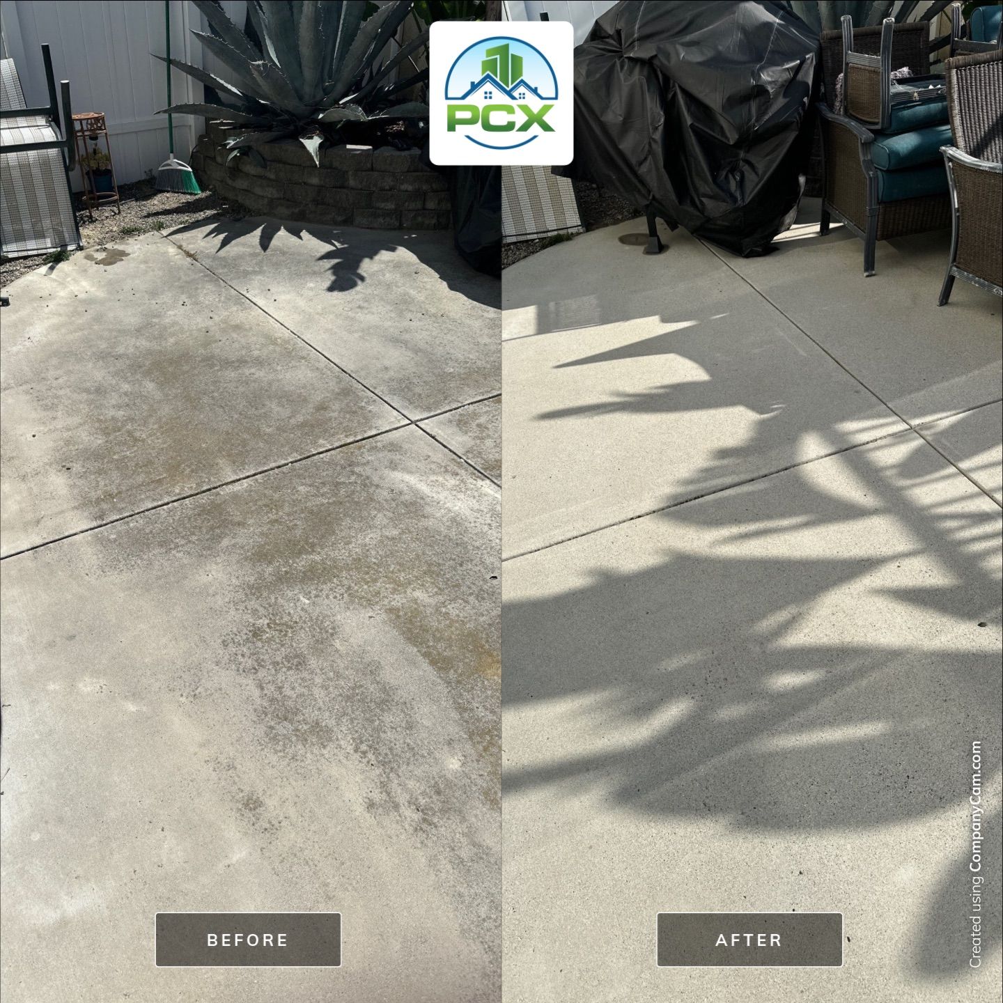 This home was COVERED in growth by Property Cleaning Experts, LLC