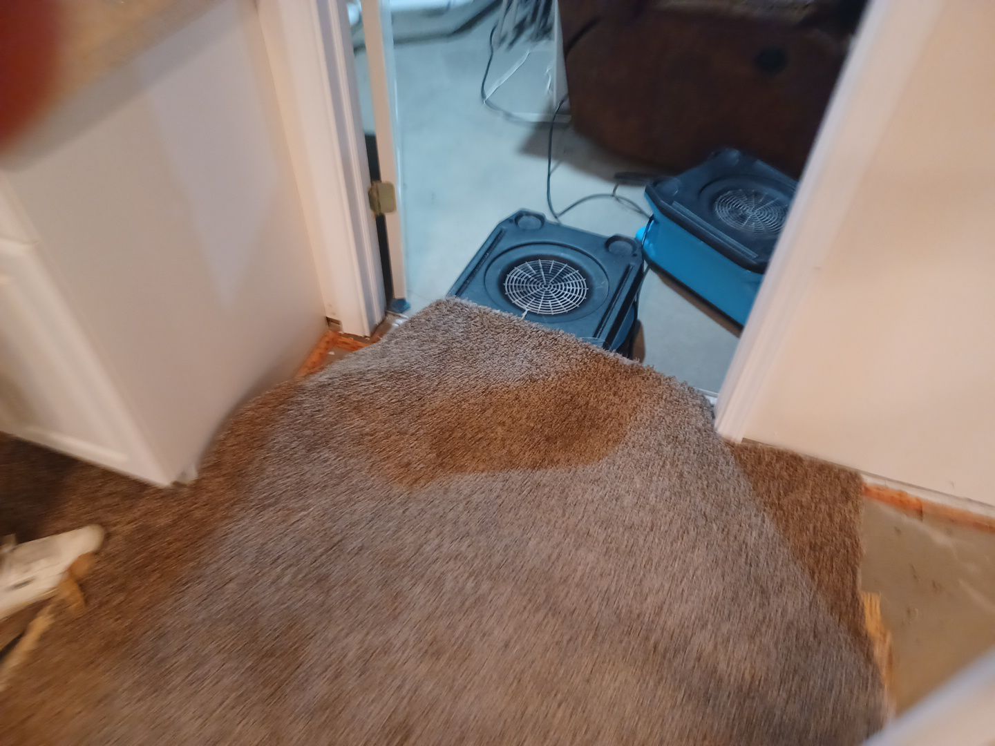 Project in Chesterfield by EzDry Water Mitigation & Property Restoration