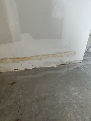 Mold Remediation in Garage