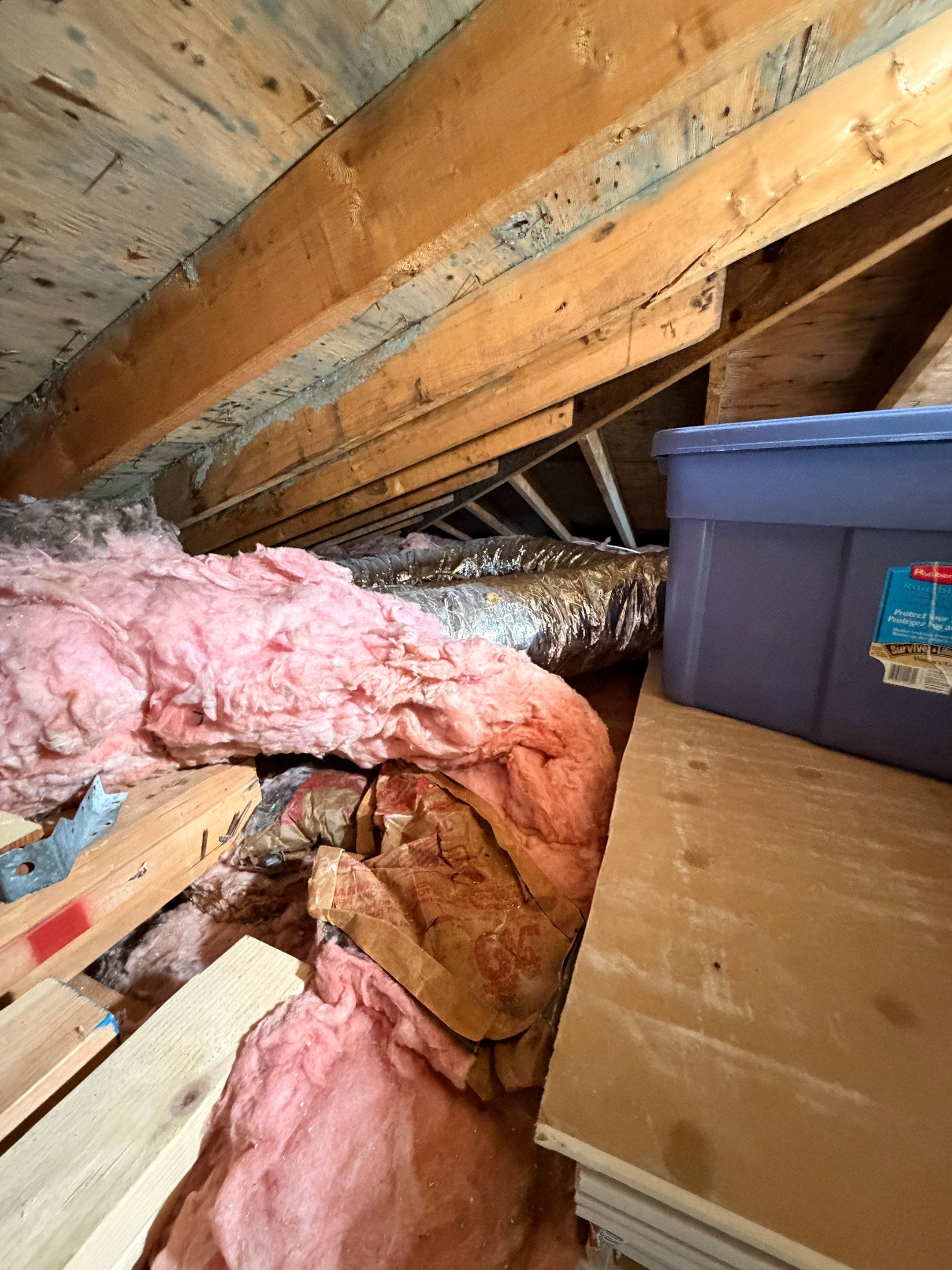 Attic Mold Remediation and Insulation Installation in Ronkonkoma by Newhouse Restoration