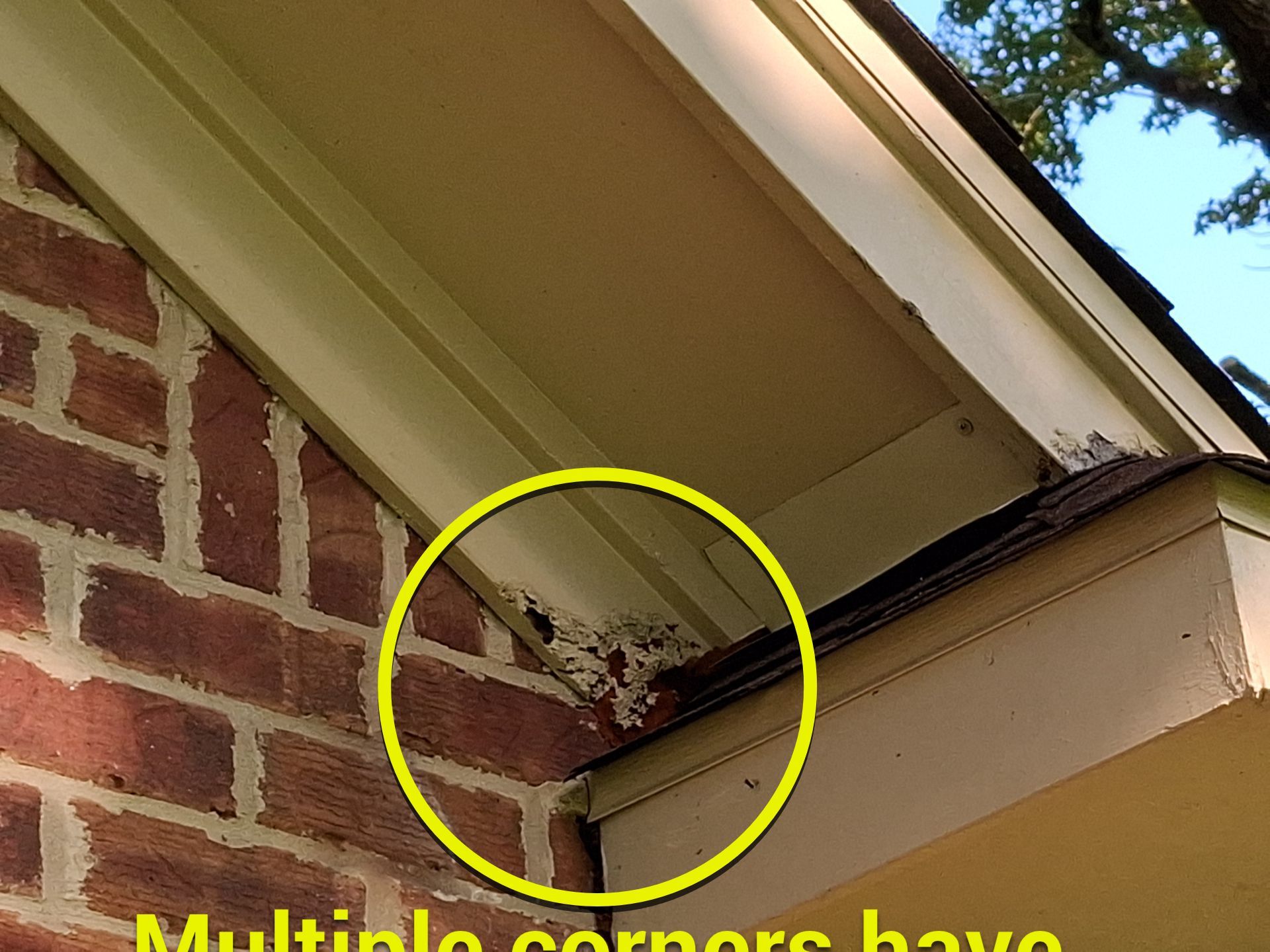 Exterior Repaint – Flint, Tx - Challenging and Rewarding by Quality Coats Painting