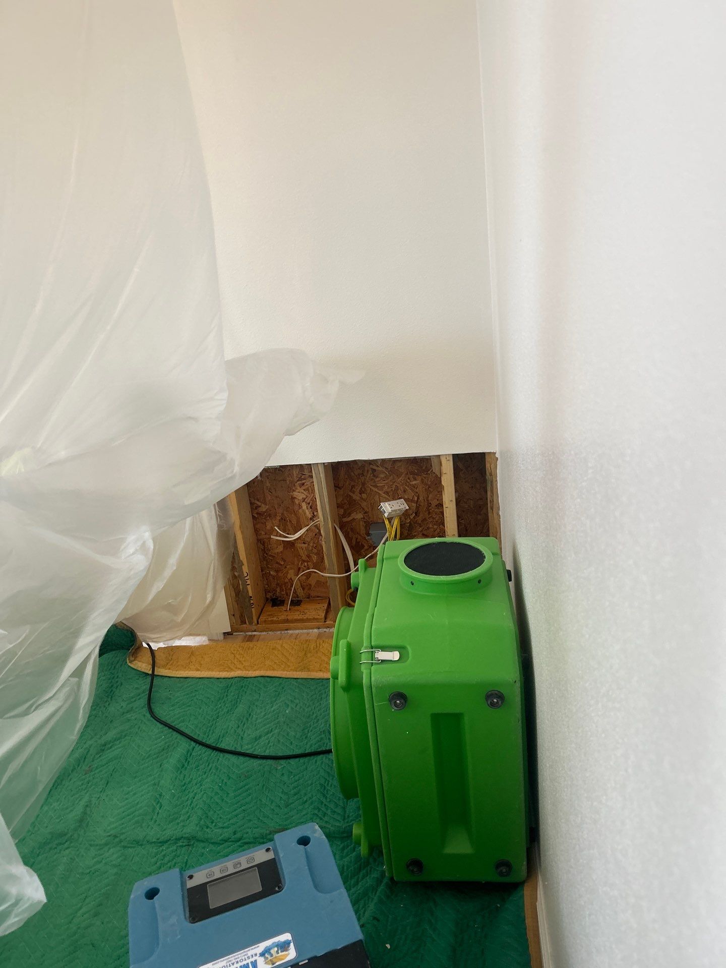 Mold Remediation Sarasota by Ampm Restoration Services