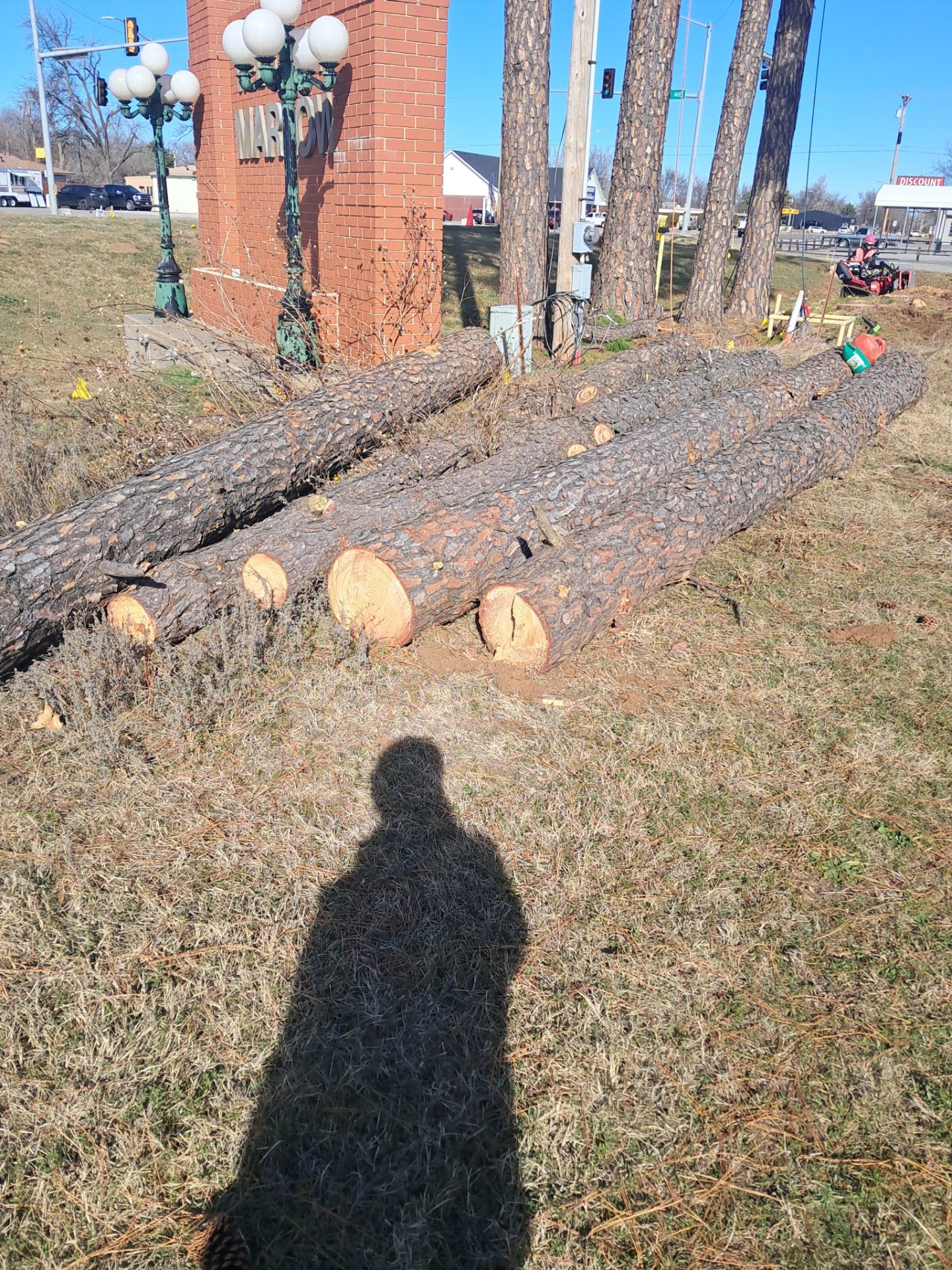 Pine Removals by Clays Services Inc