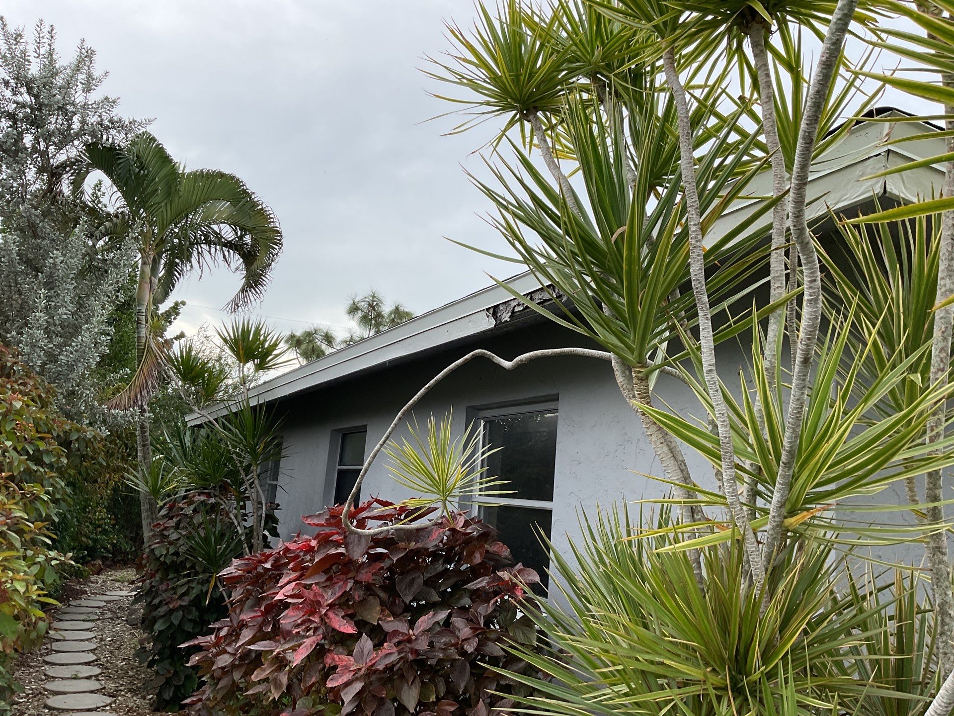 Gutter Repair and Cleaning in Cape Coral FL by Gutter Professors