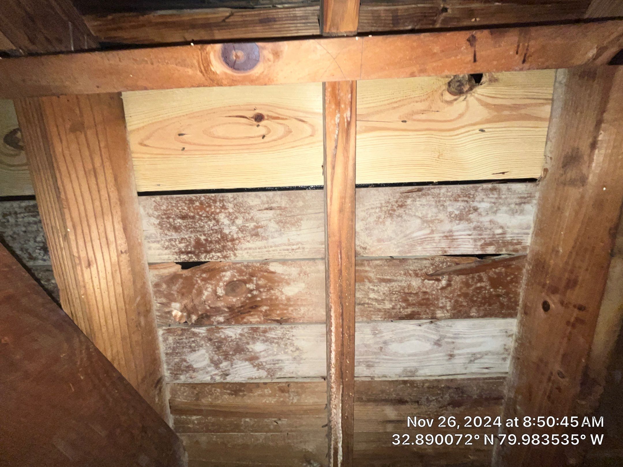 Limited Mold Remediation by EAS Environmental, LLC.