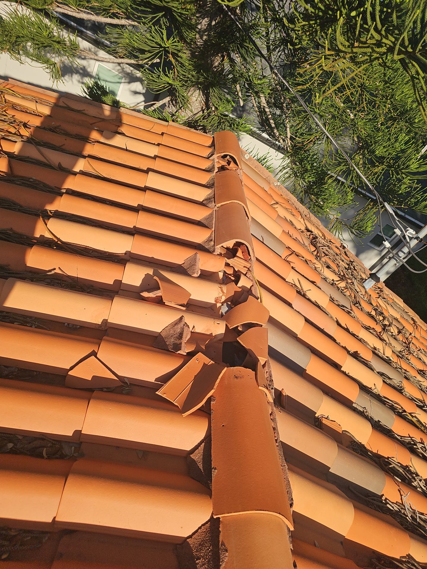 Project in Belleair Bluffs 33770 by Mitchell Roofing Company LLC 